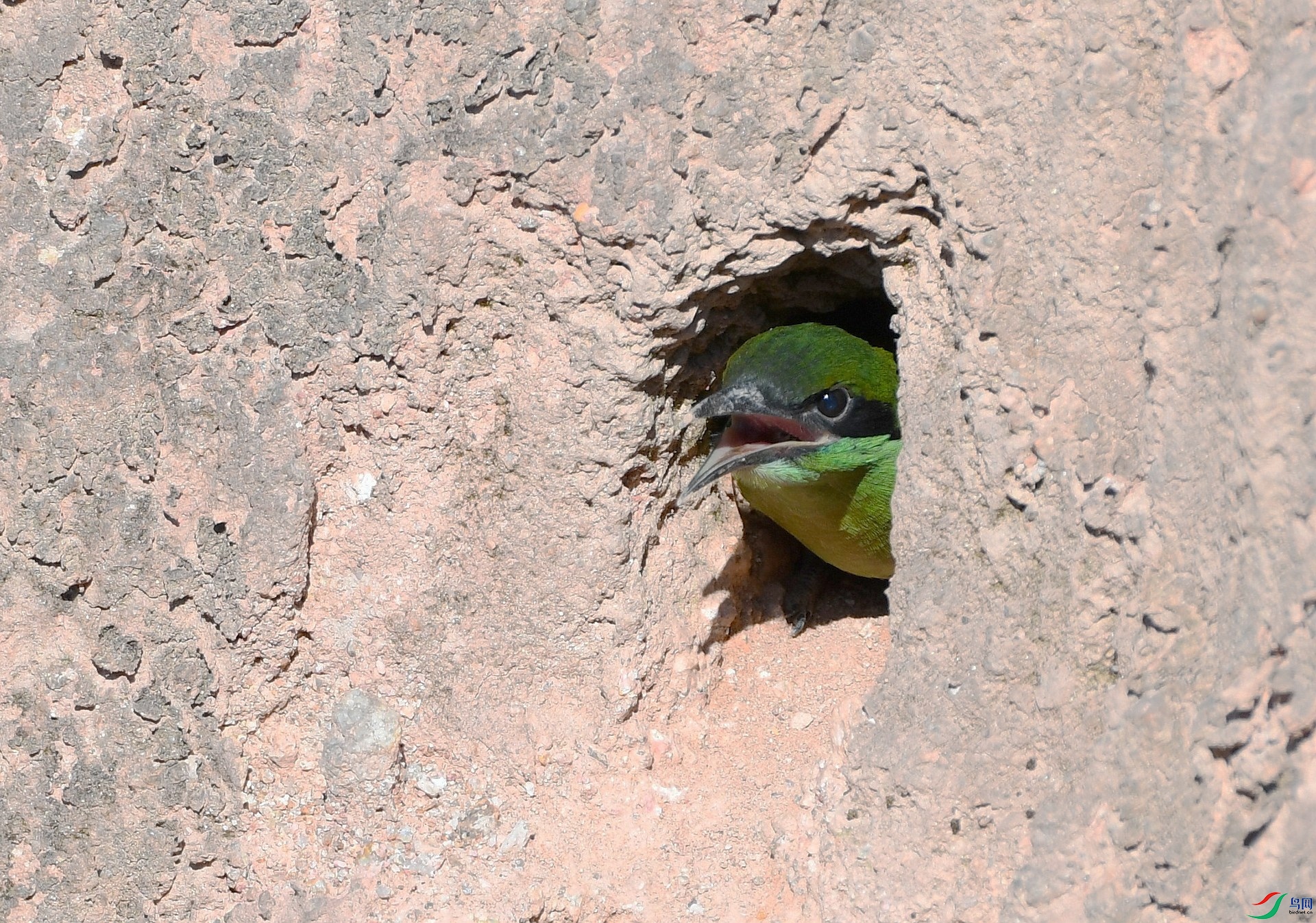 DSC_3352.jpg