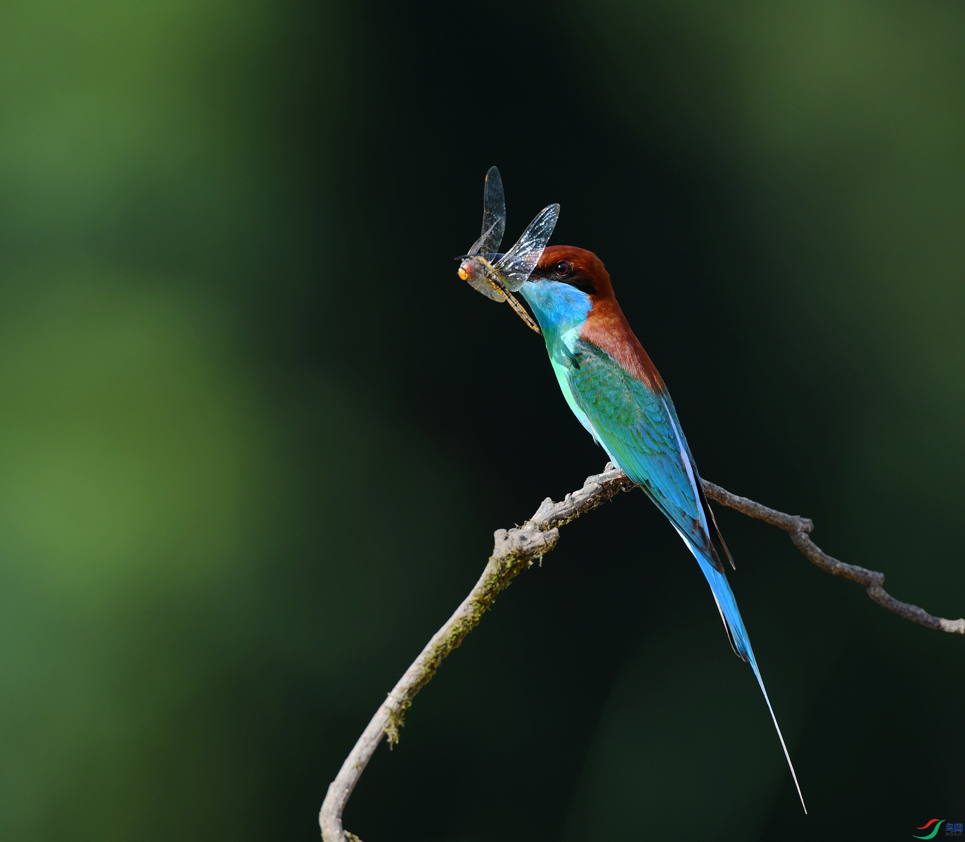 DSC_6561.jpg