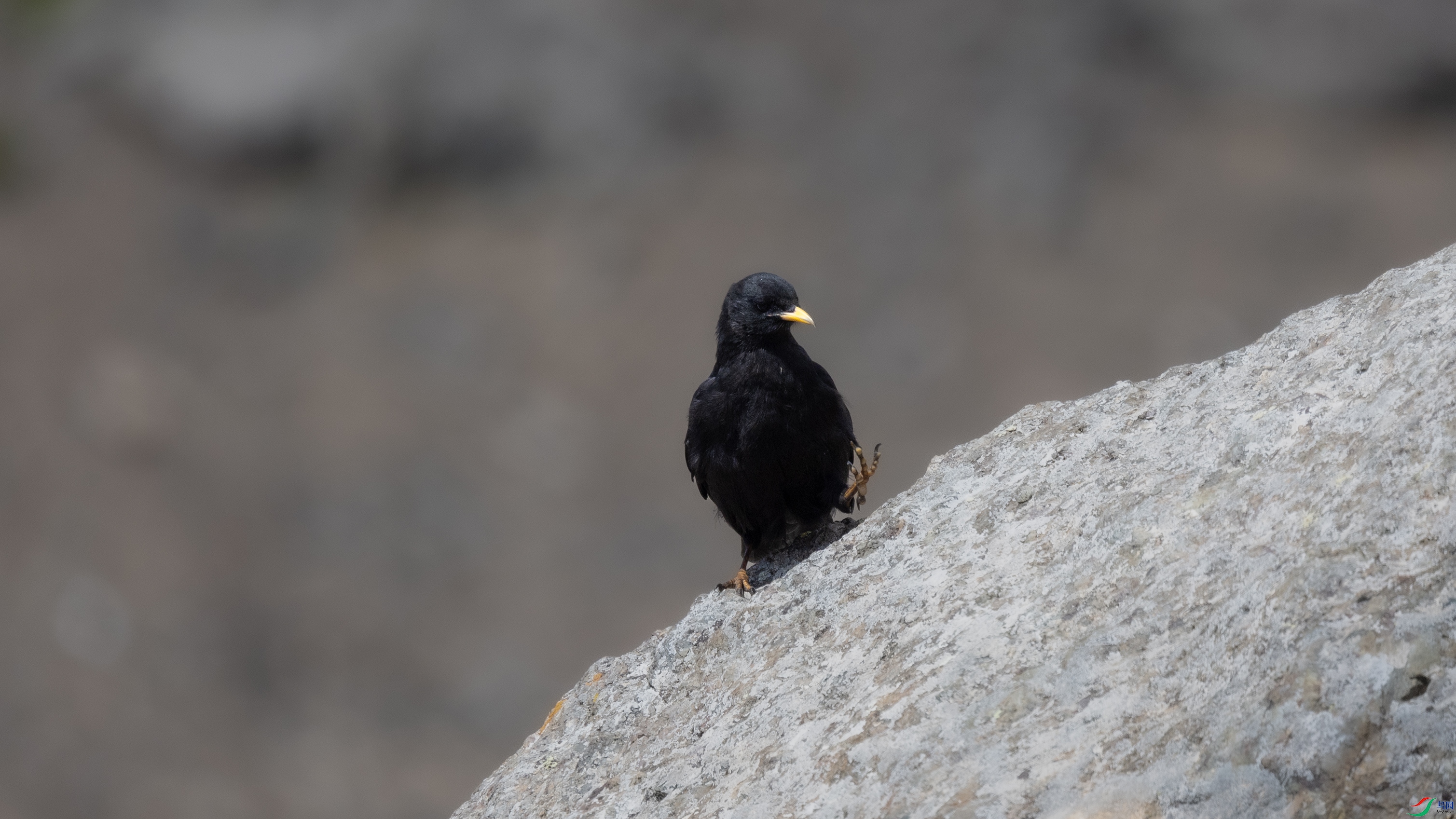 0O7A1589 ����.jpg