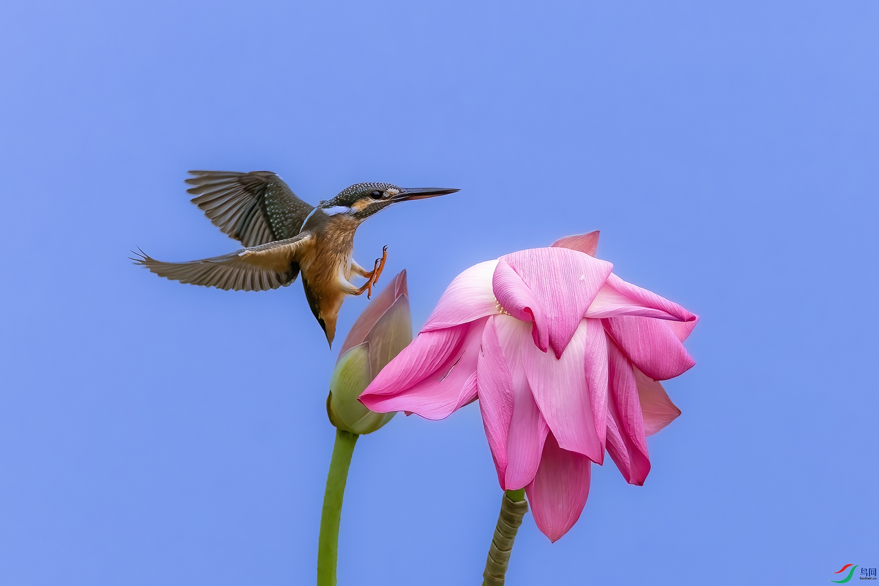 IMG_5593 ����.jpg