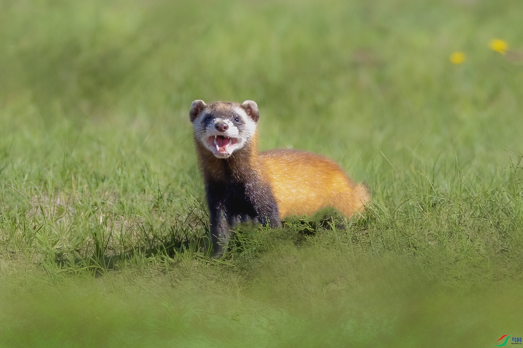 IMG_5019 ����.jpg