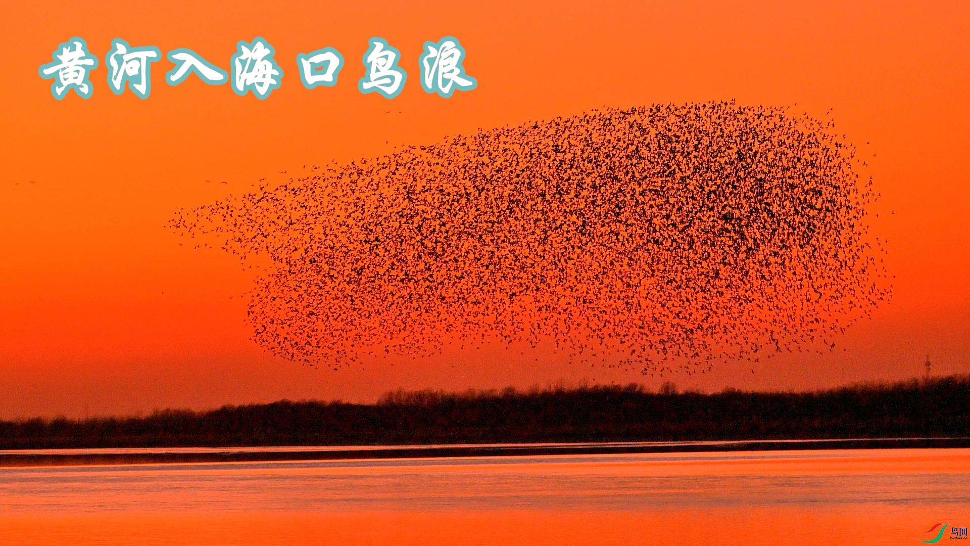 �ƺ��뺣������3-����.jpg