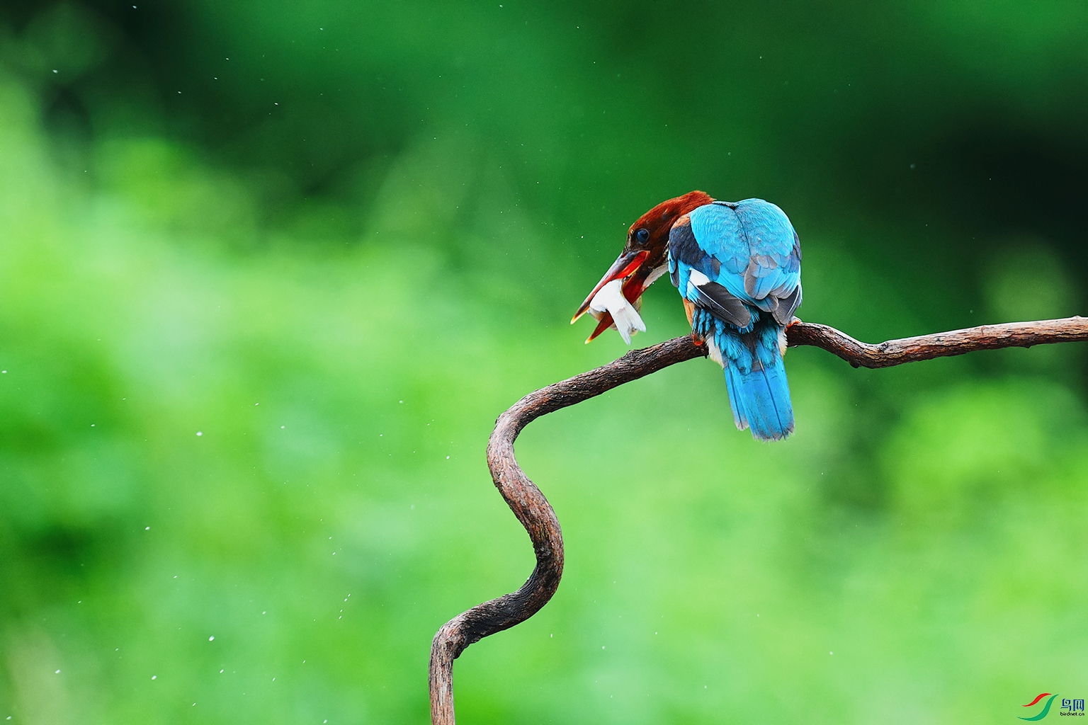 DSC_4374_DxOa.jpg