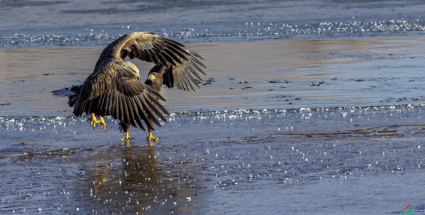 ��β���� (4080)-01.jpg