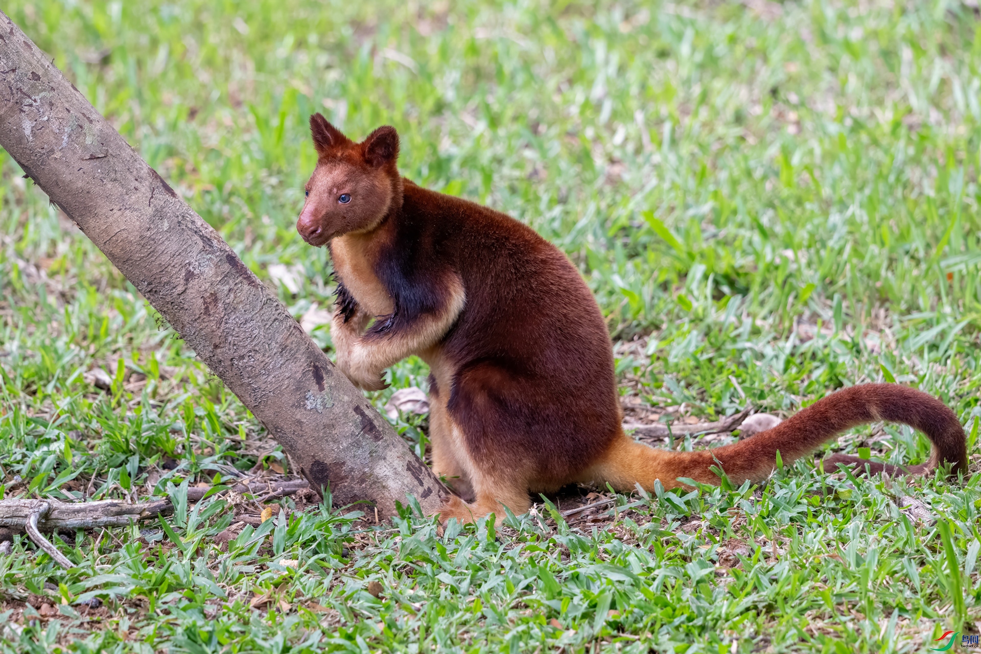 DSC_3410.jpg
