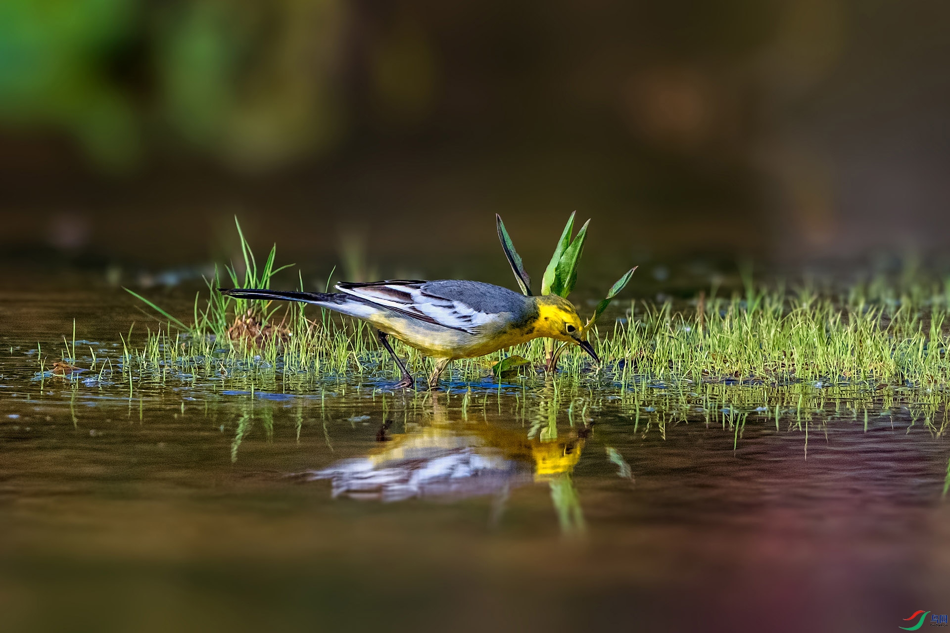 _AUU2421 ��ͷ�n�_(25.4.18).jpg