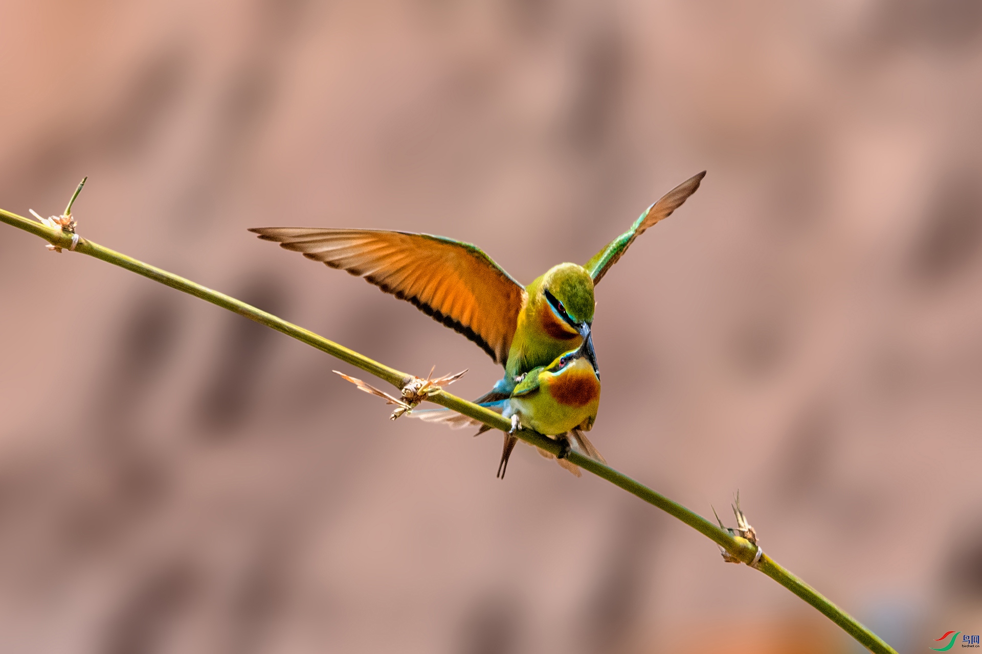 _AUU4258 �����仢(25.5.11).jpg