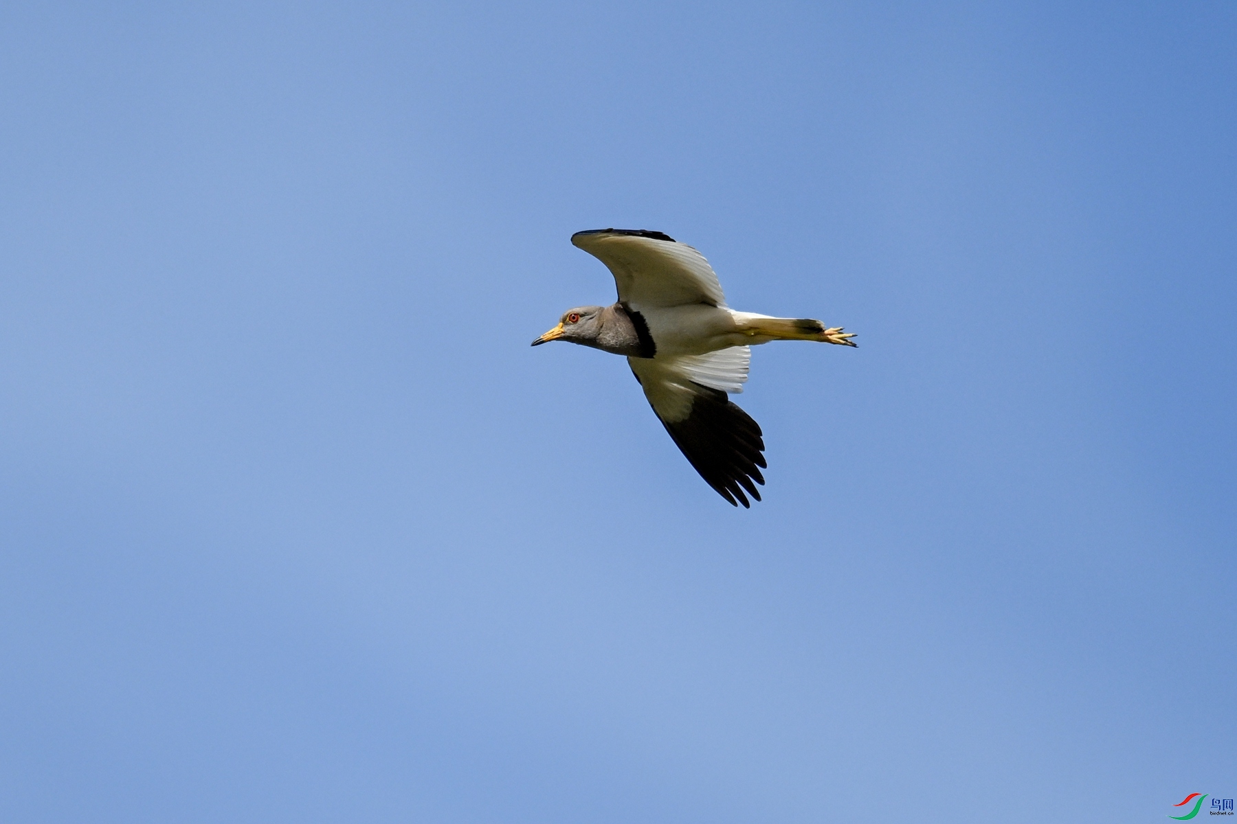 DSC_5295.JPG