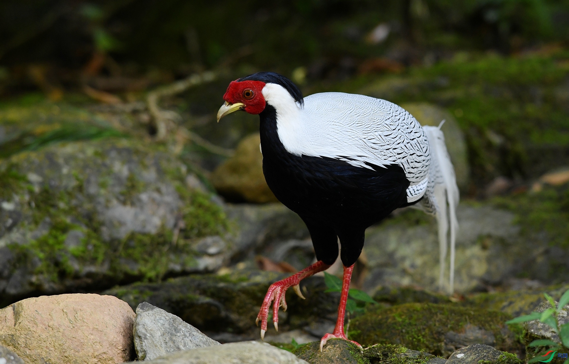 DSC_3483.jpg