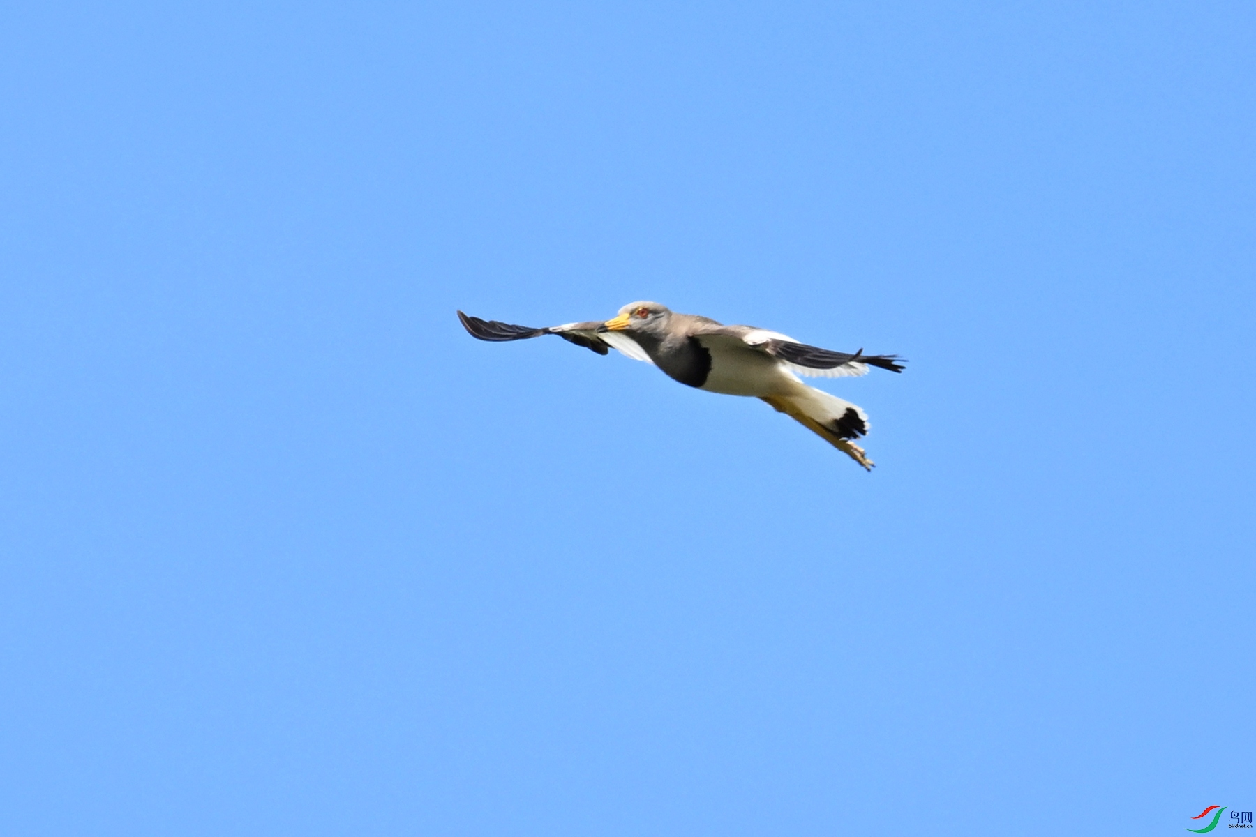 DSC_5325.JPG