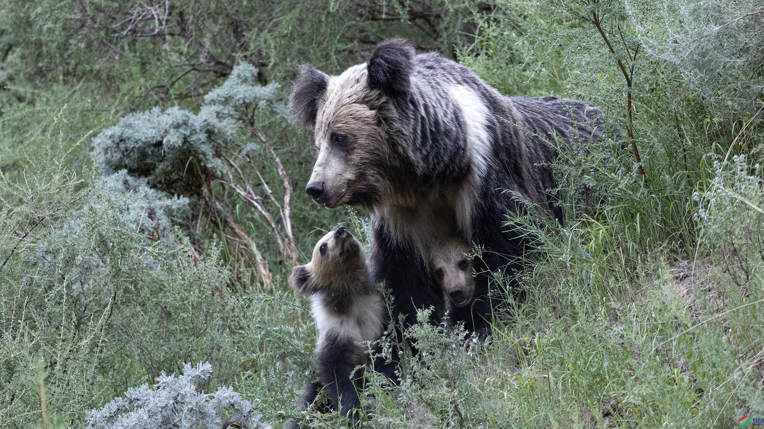 _O7A9278 ��4444.jpg