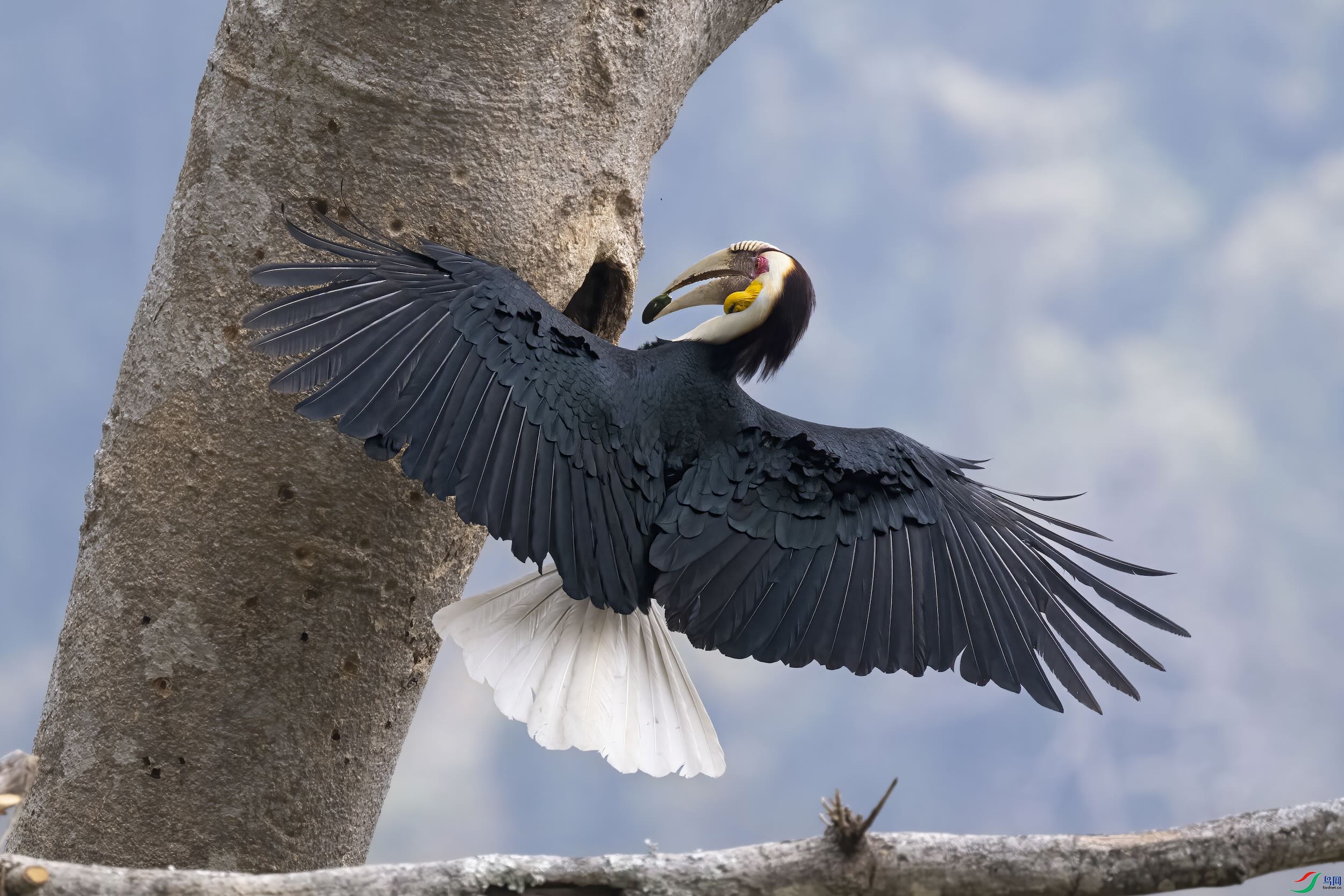 DSC_8558 ���� 2 (3).jpeg