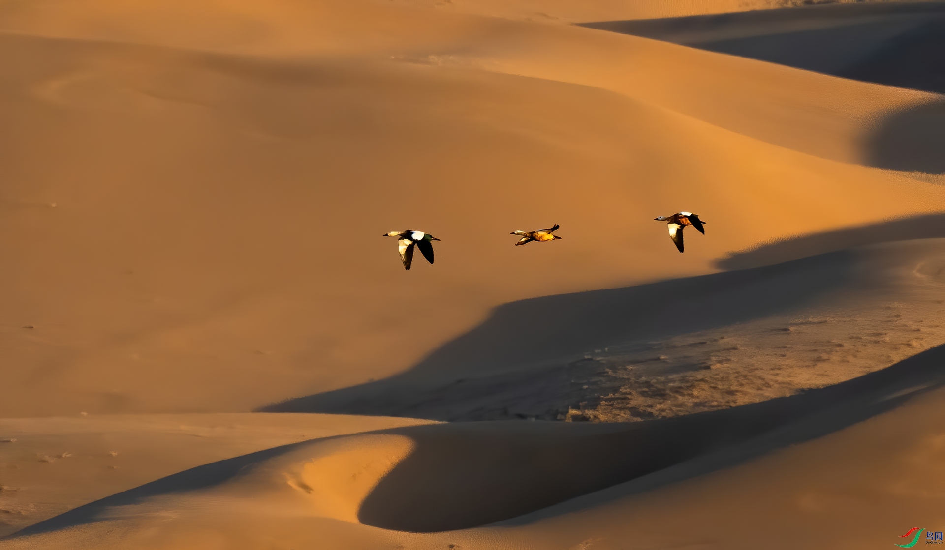 DSC09541.jpg