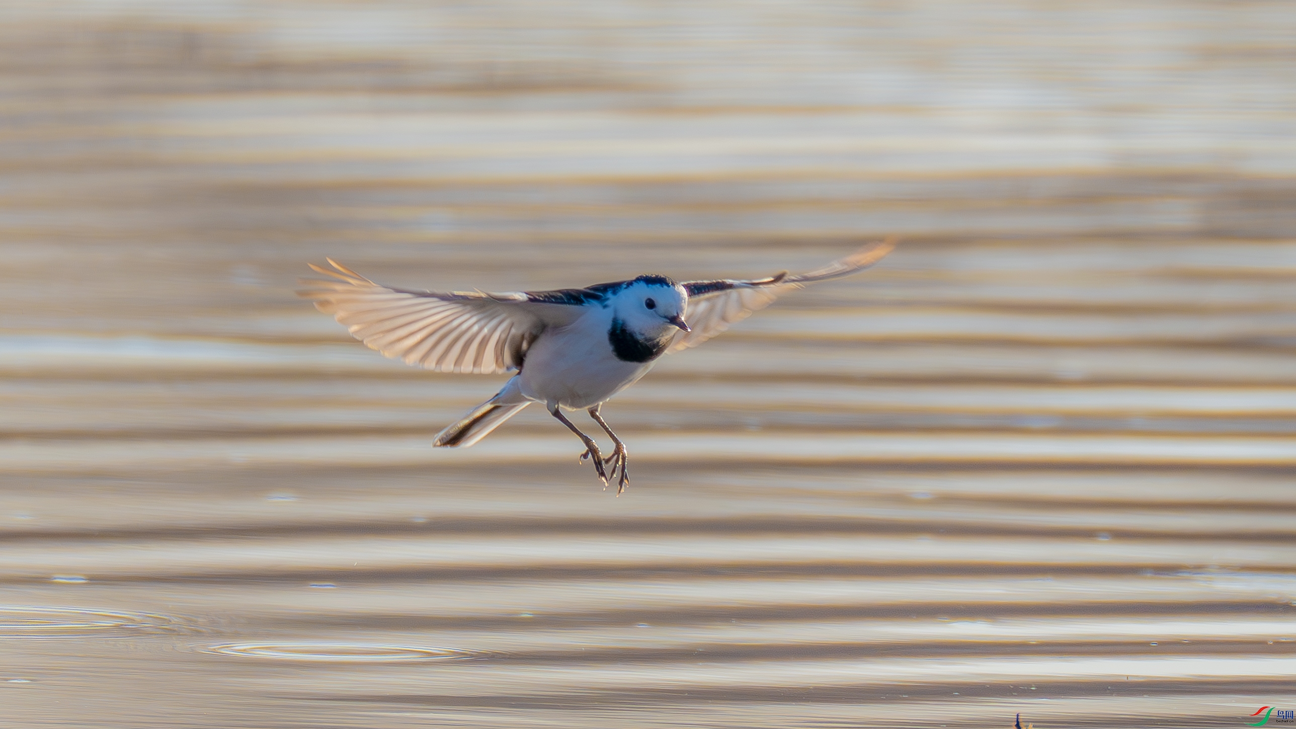 _DSC2022-.jpg