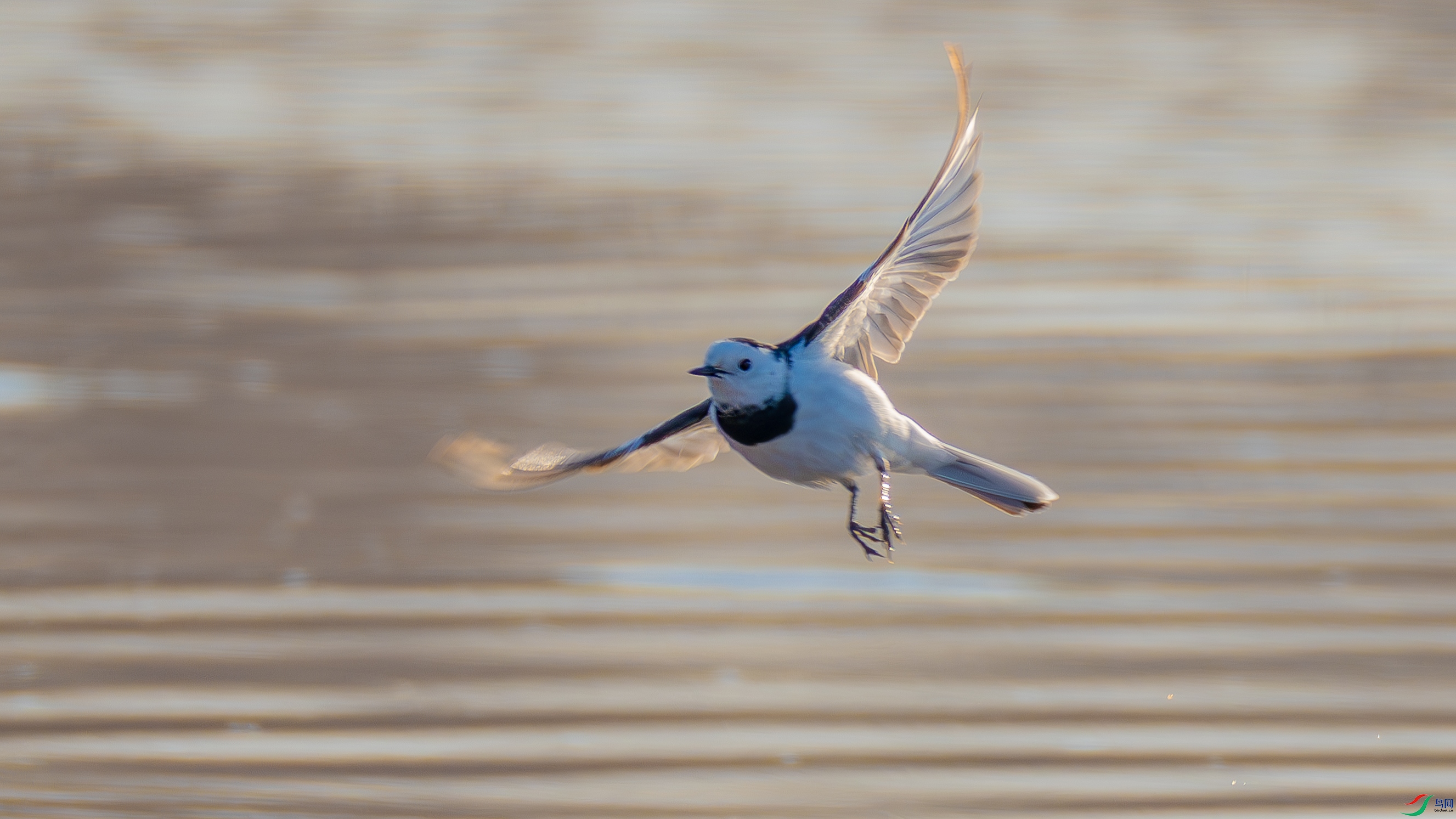 _DSC2053-.jpg