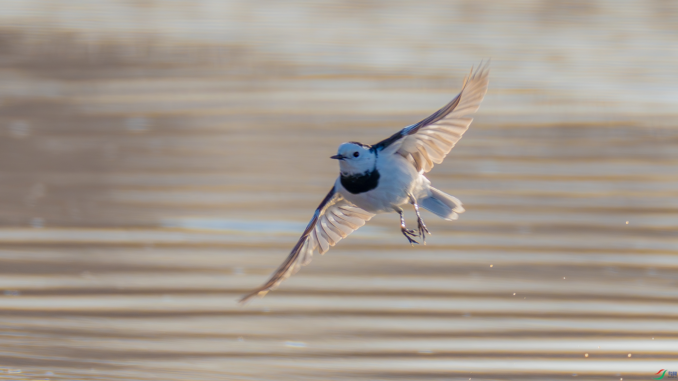 _DSC2052-.jpg