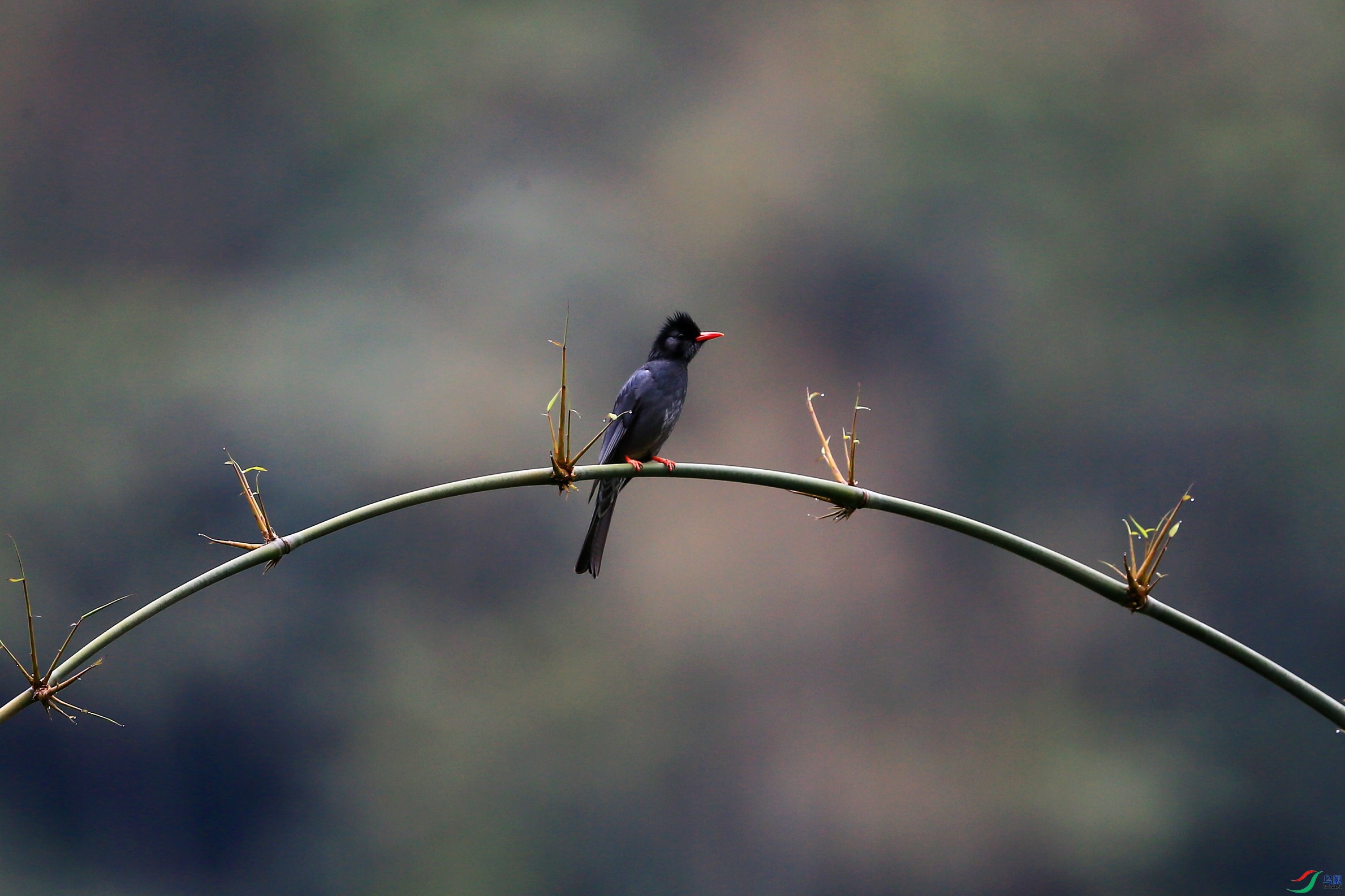 �ڶ̽��� (14).JPG