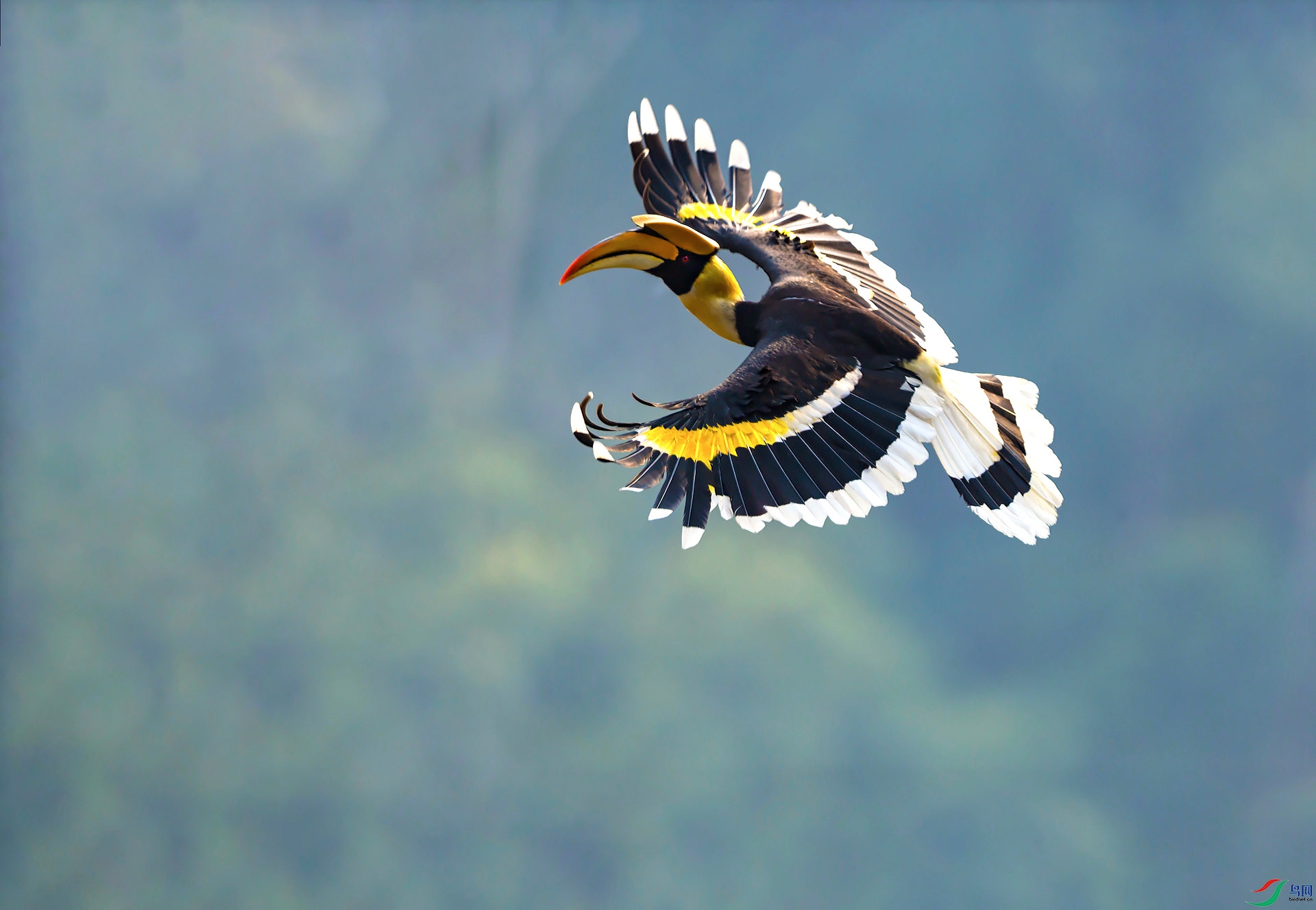 _O1I0035 ����.jpg