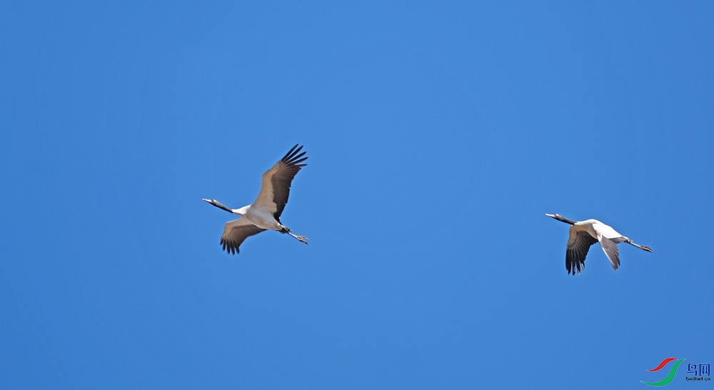 DSCF9110.1.jpg
