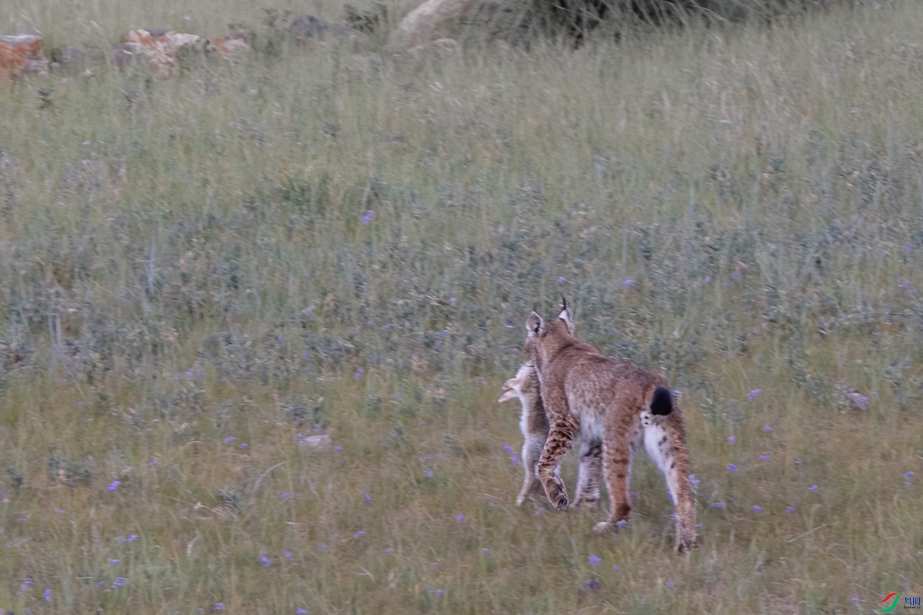 A15I5789 ����.jpg