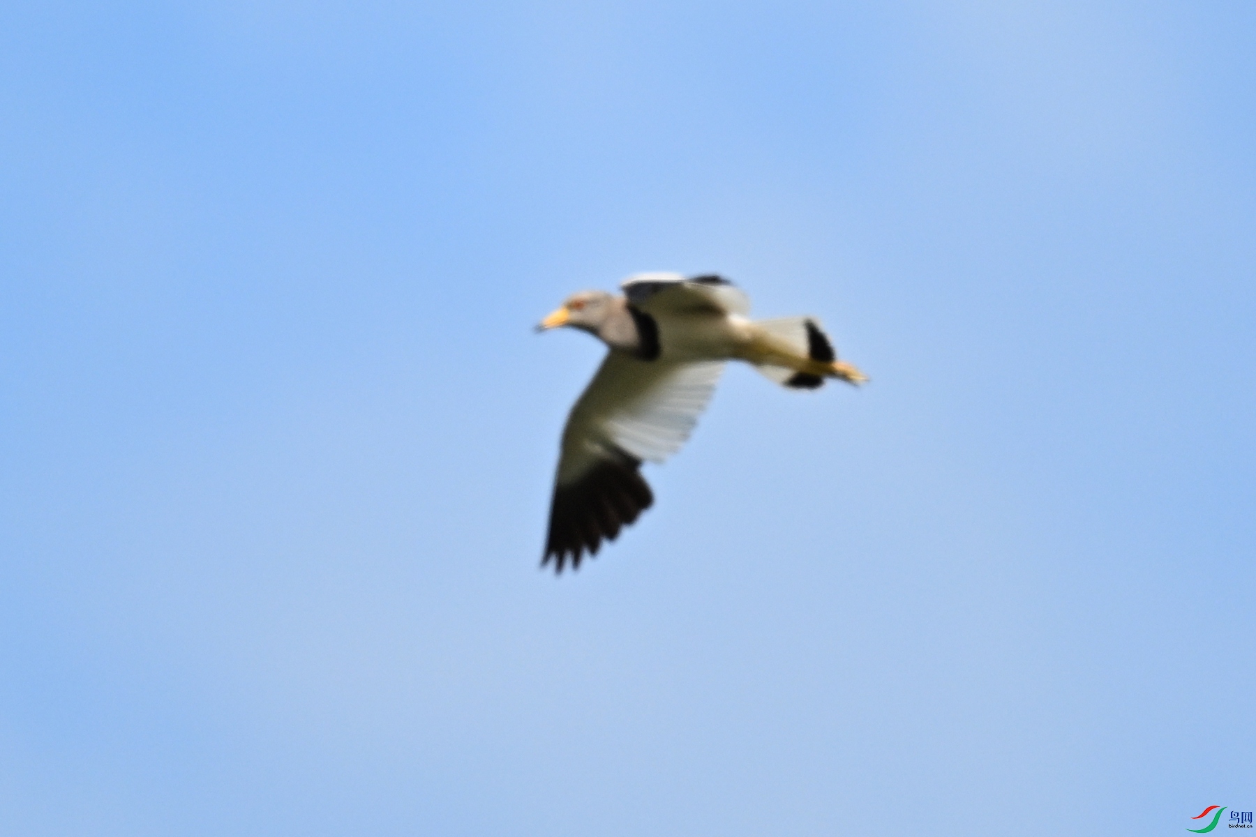 DSC_5344.JPG