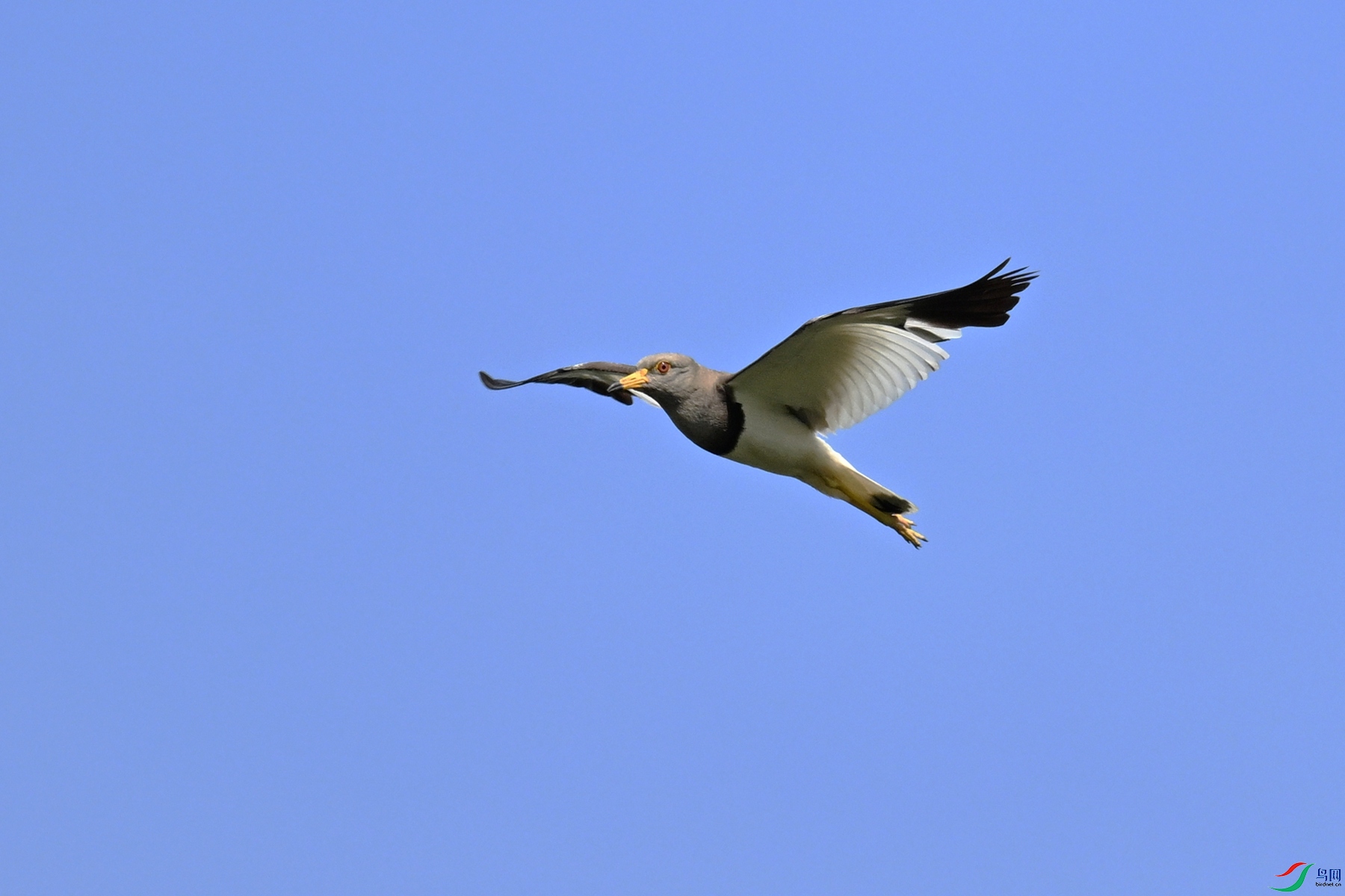 DSC_5366.JPG