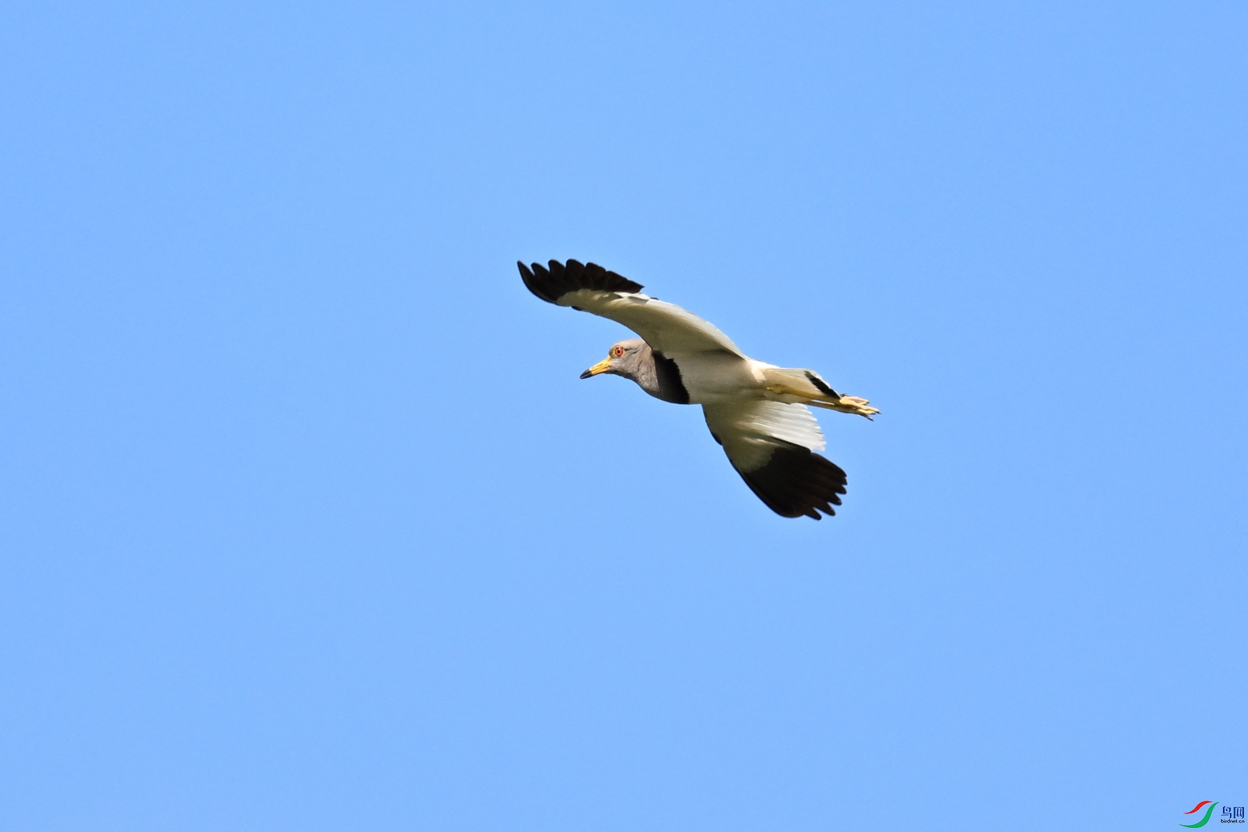 DSC_5348.JPG