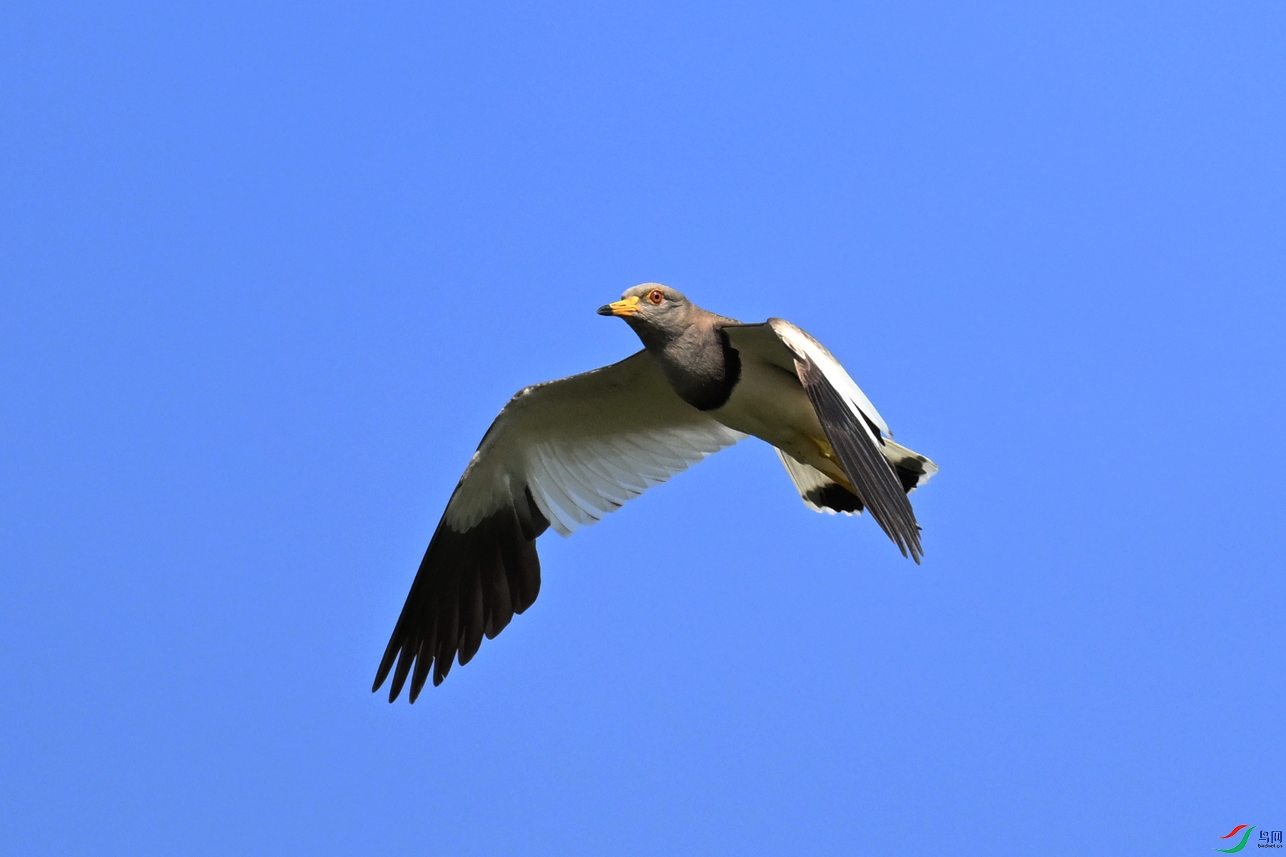 DSC_5371.JPG