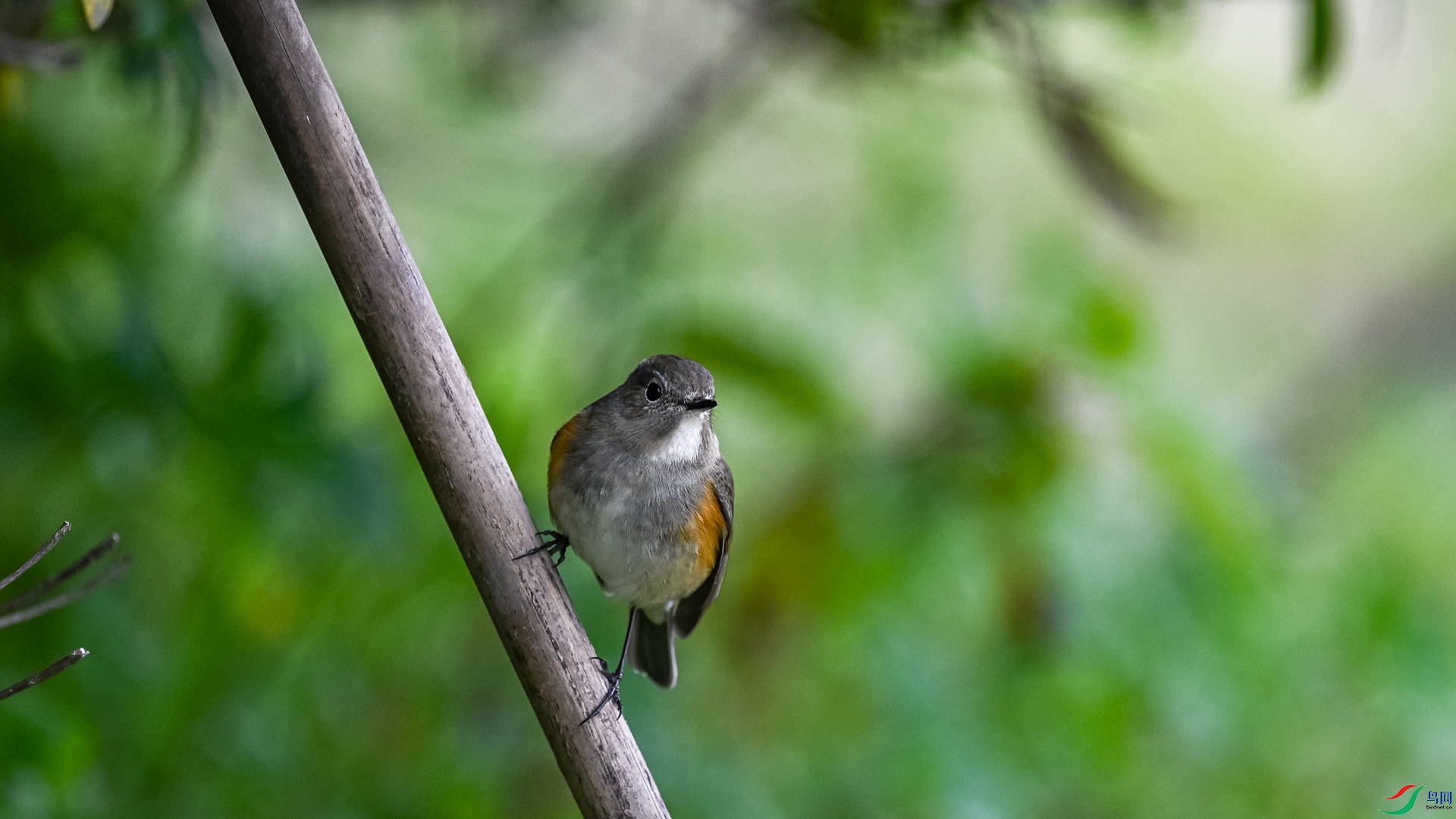 DSC_2246.jpg