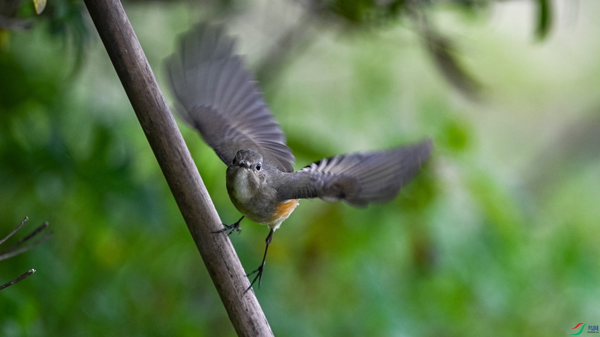 DSC_2323.jpg