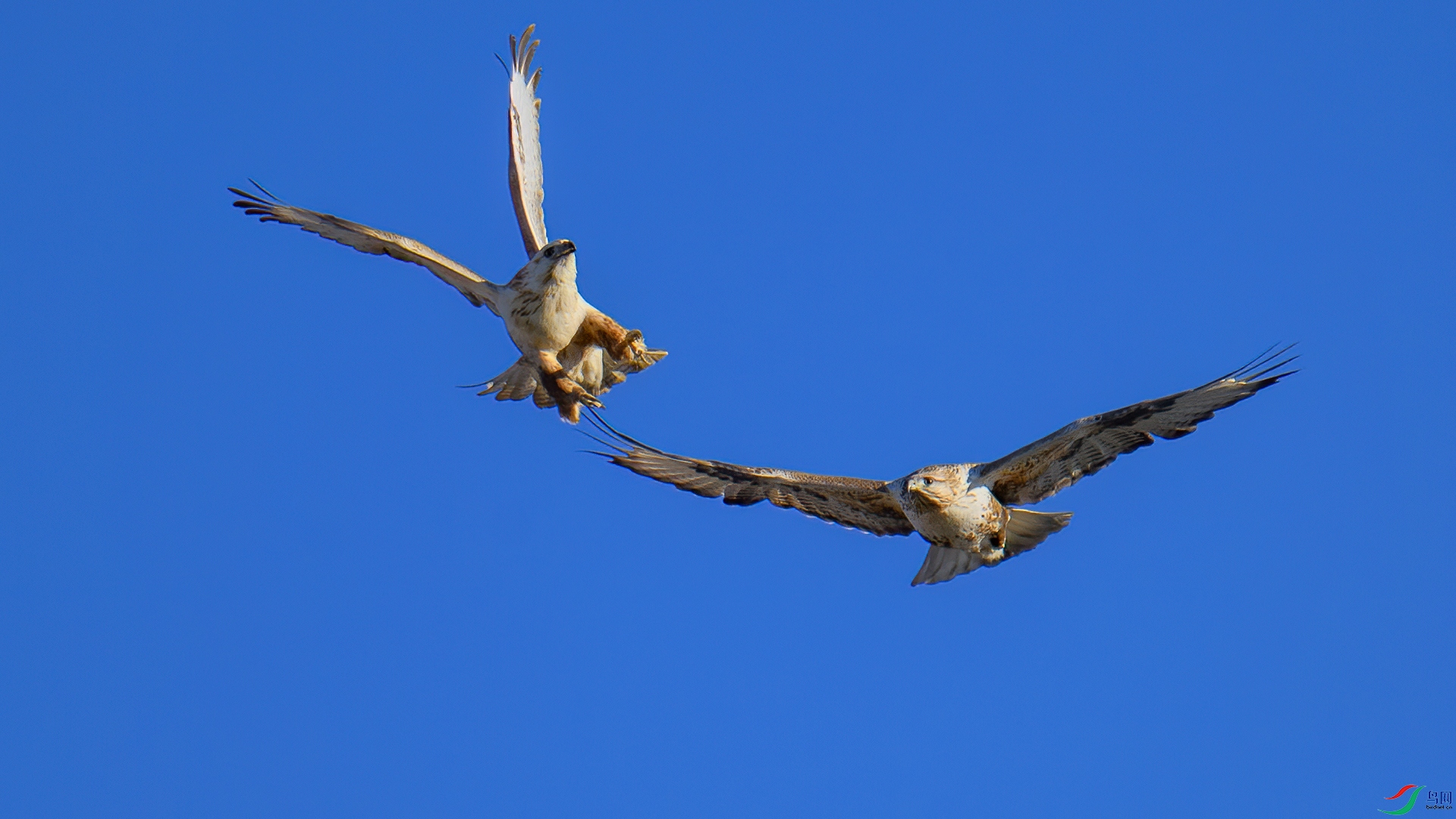 DSC_7993-20241225�� .jpg