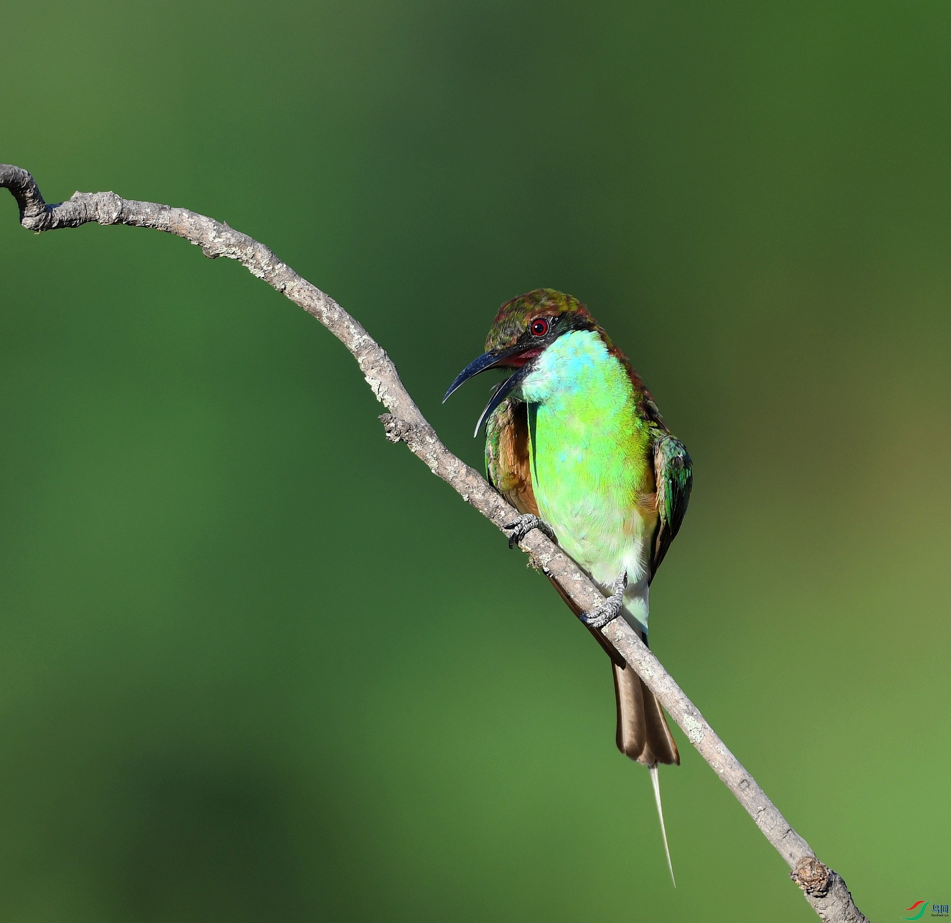 DSC_4267.jpg