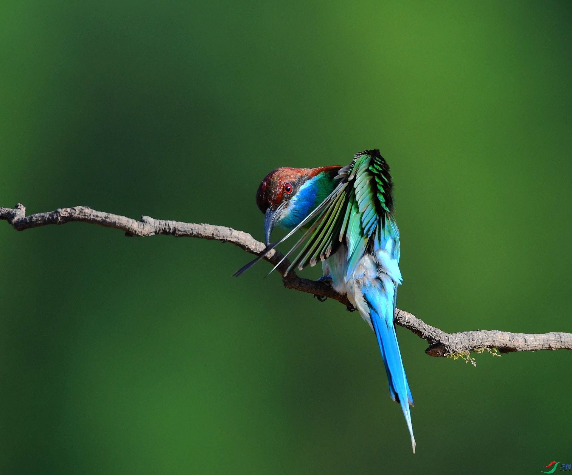 DSC_4366.jpg