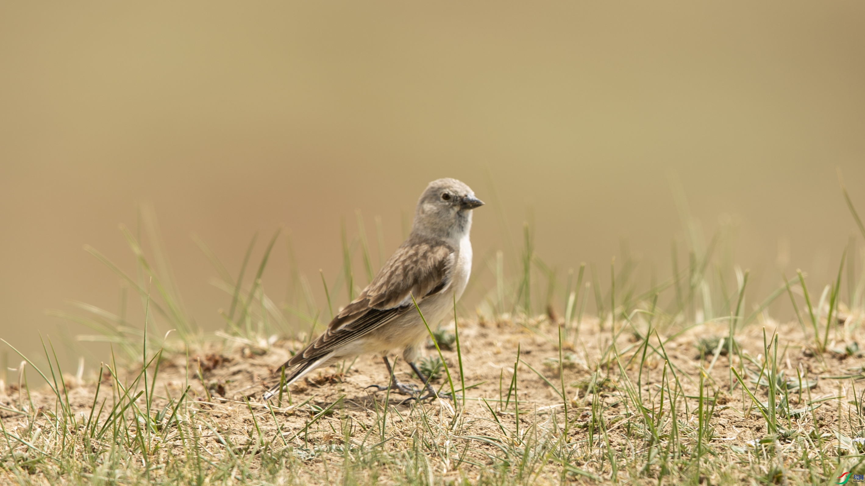 X39A4841 ����.jpg