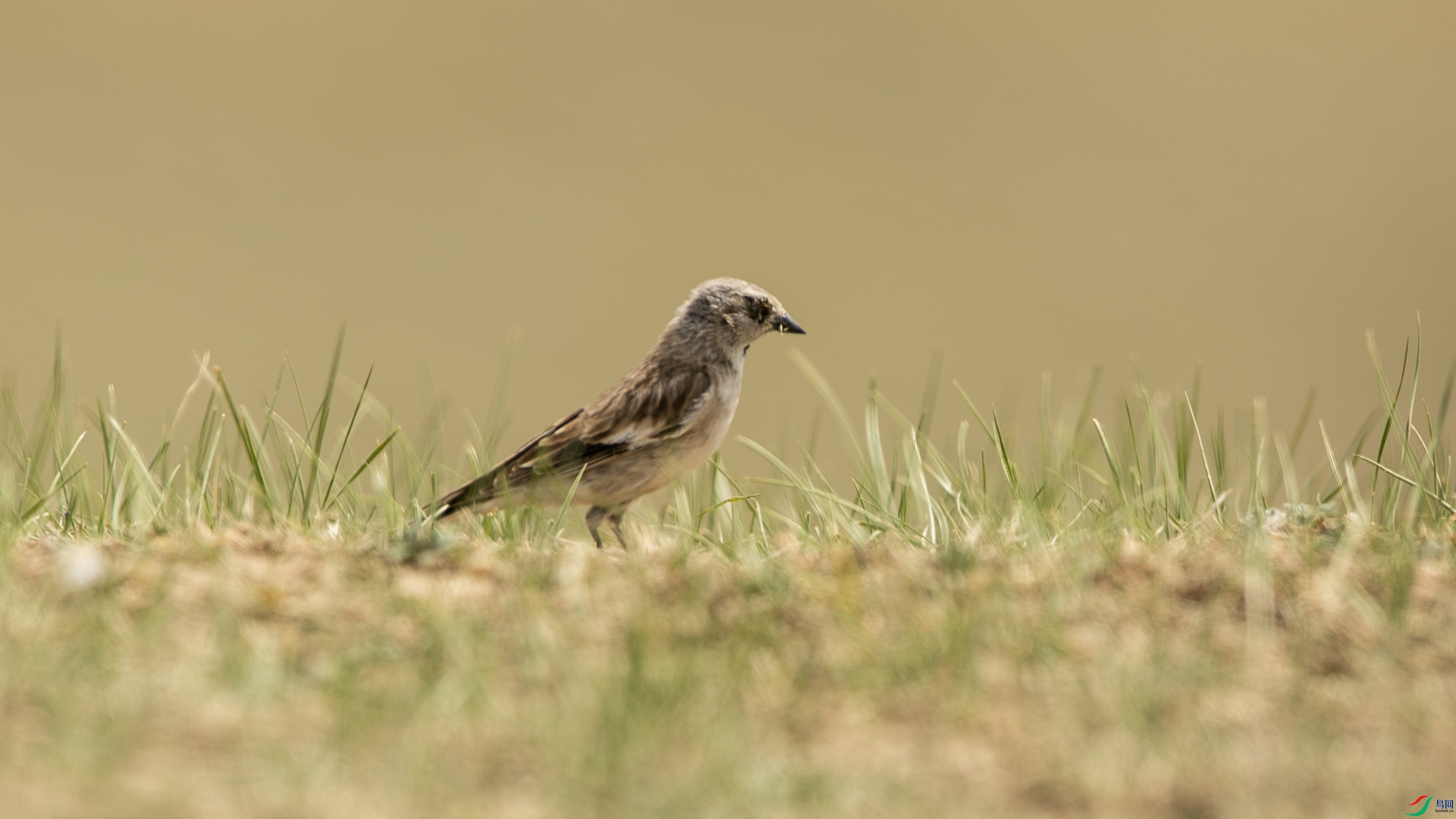 X39A4847 ����.jpg