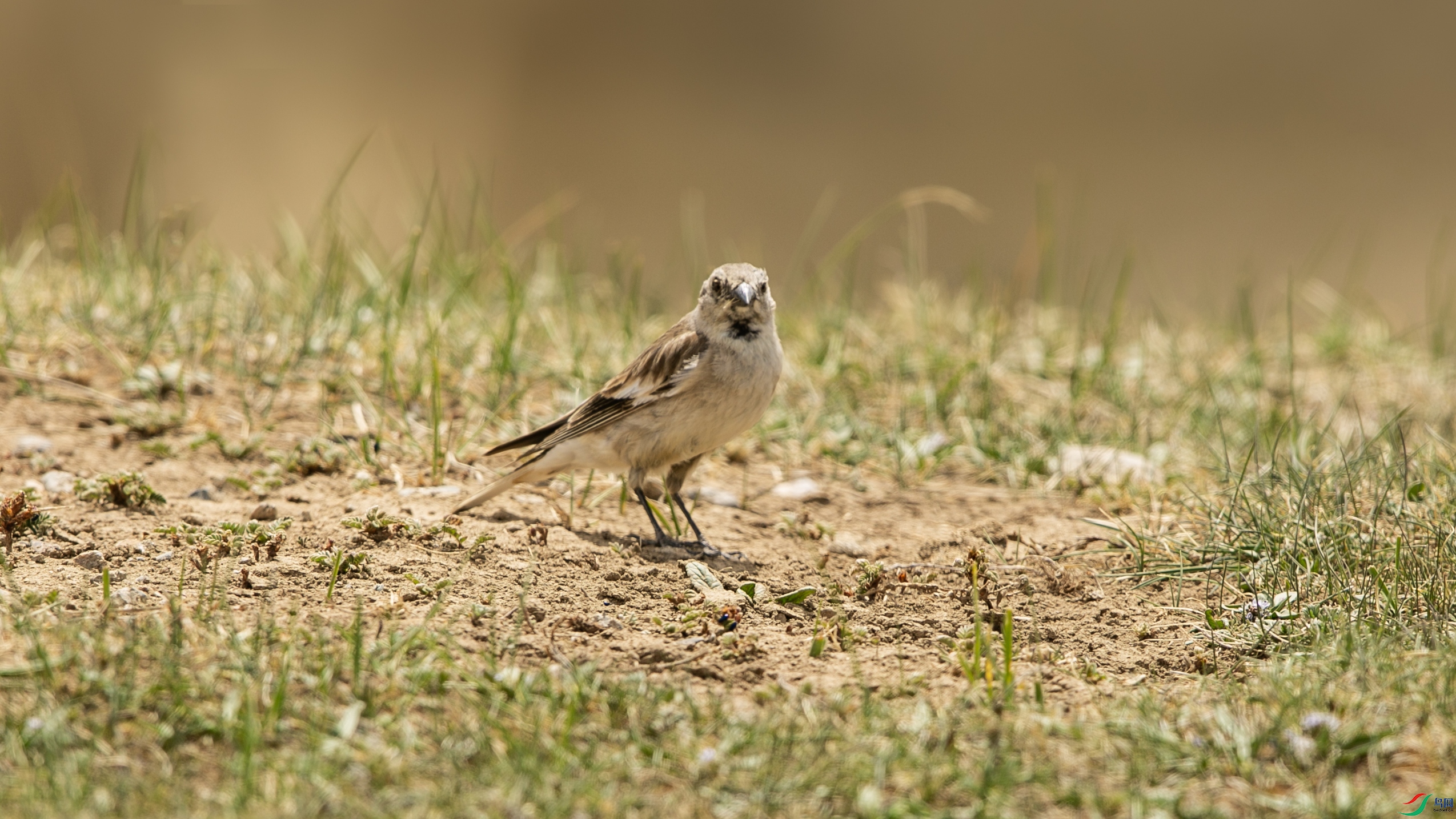 X39A4862 ����.jpg