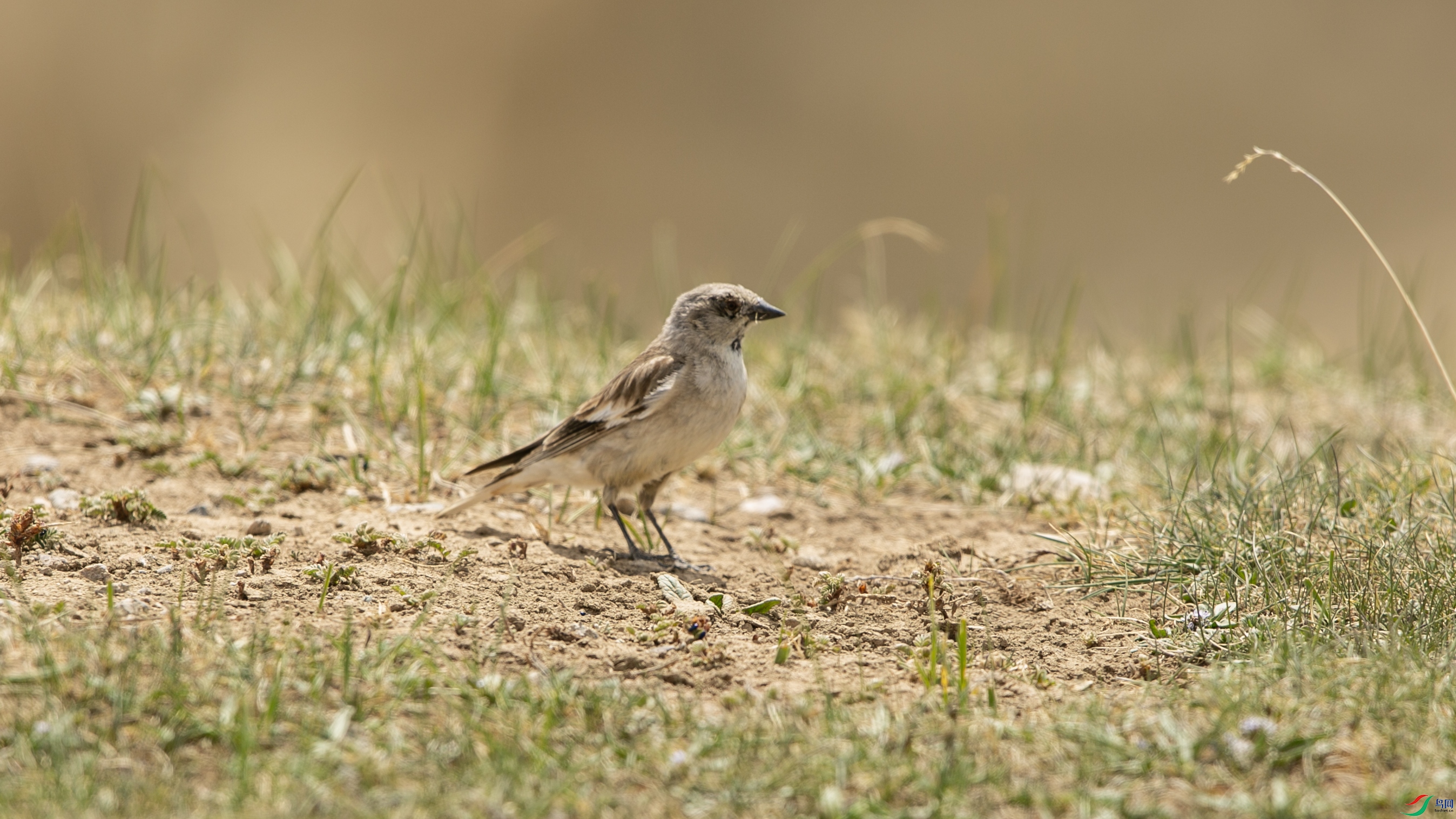 X39A4863 ����.jpg