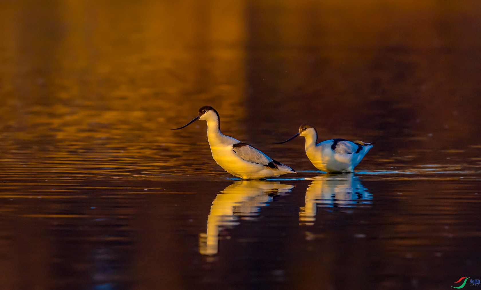 DSC_������ - ����.jpg