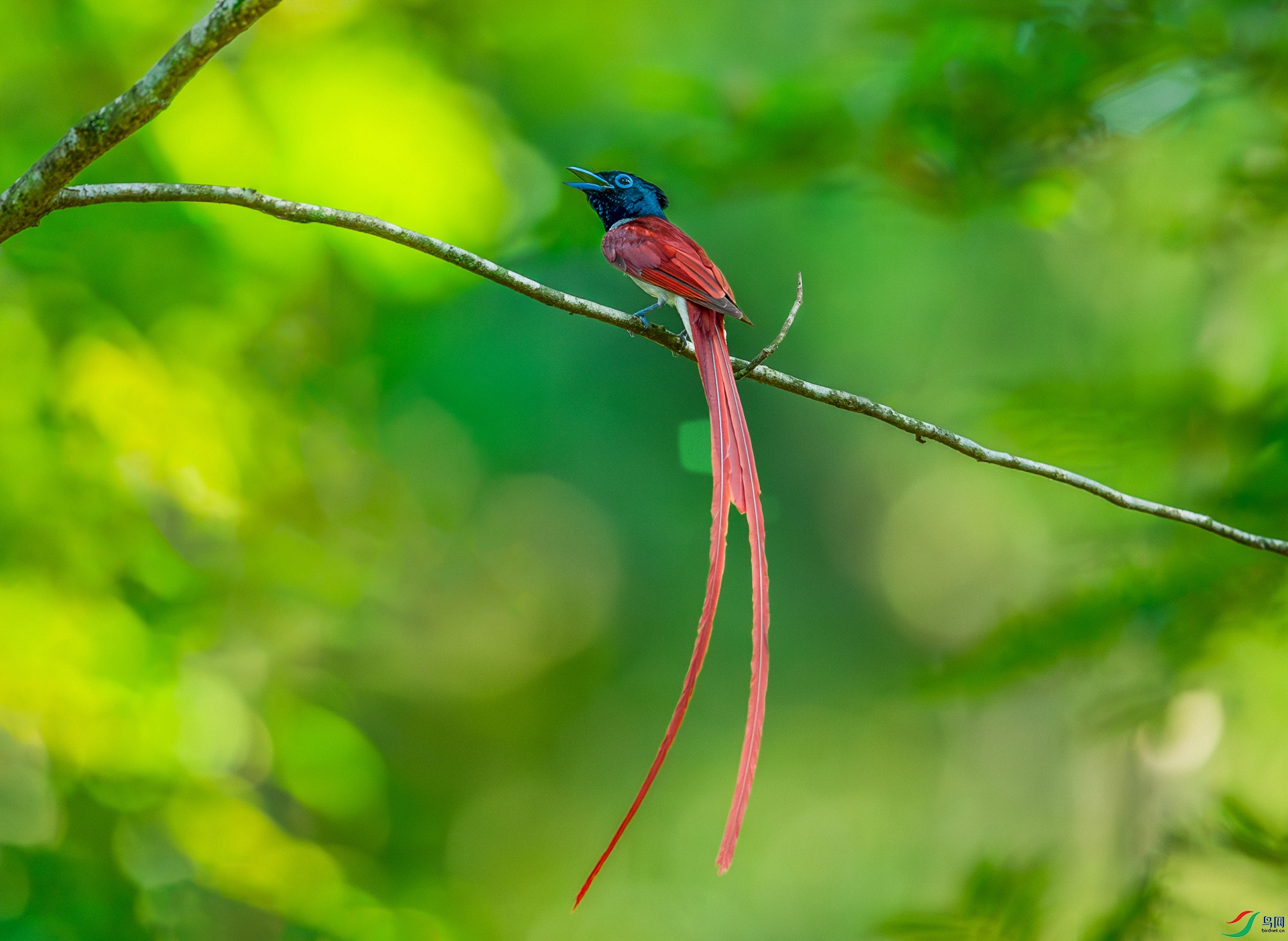 DSC_6066-����ǿ-NR.jpg
