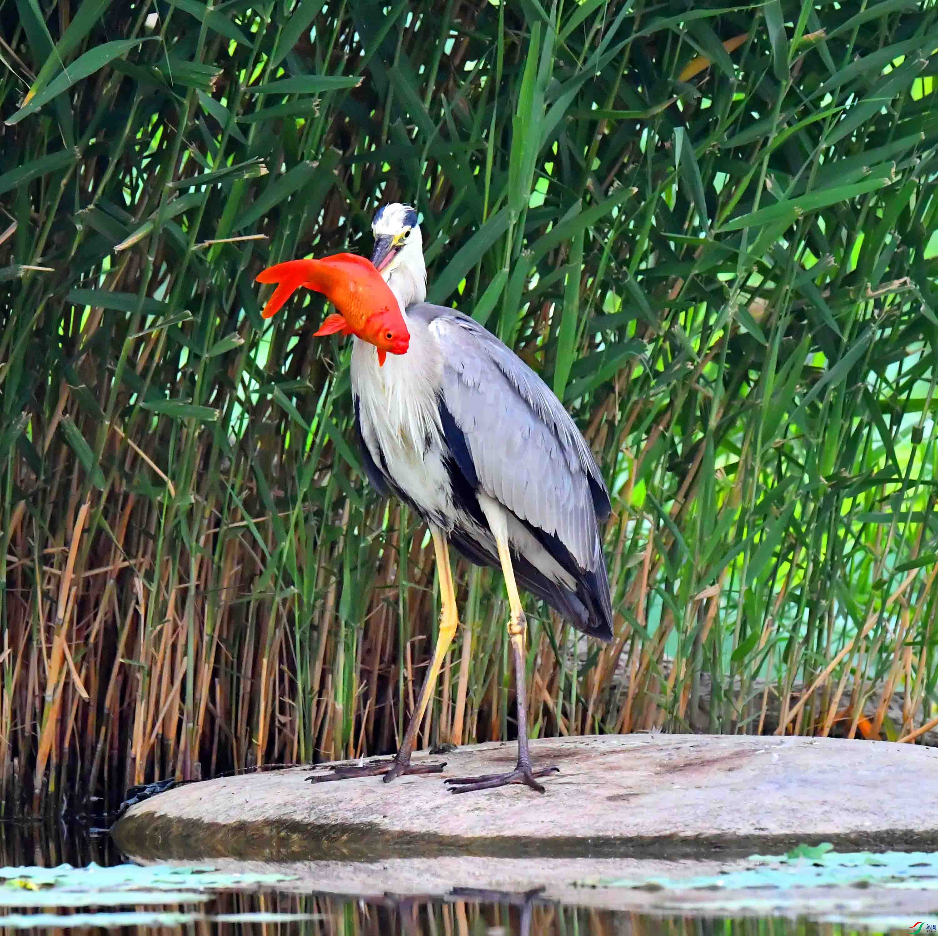 DSC_6673.JPG