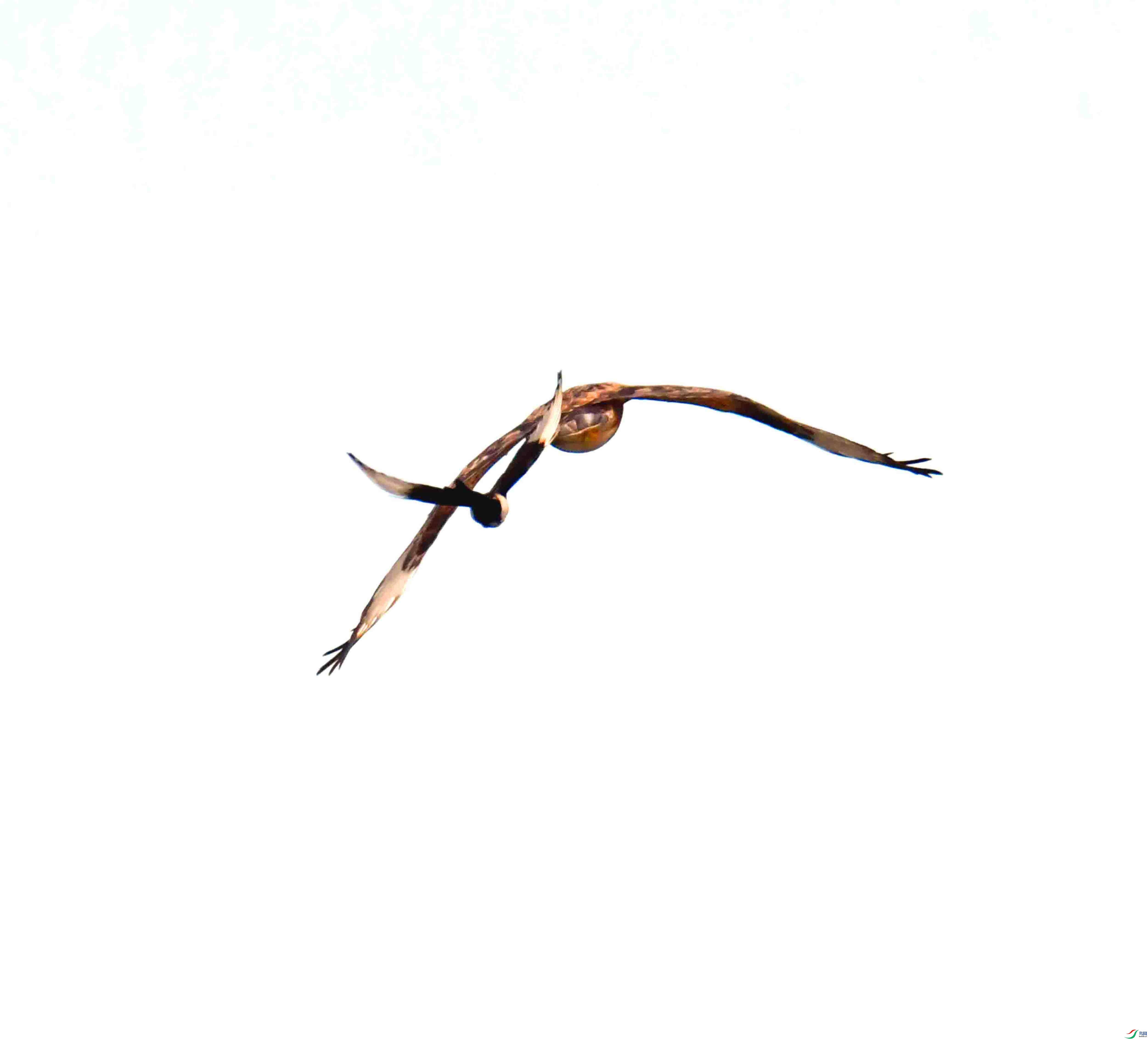 DSC_2139.JPG