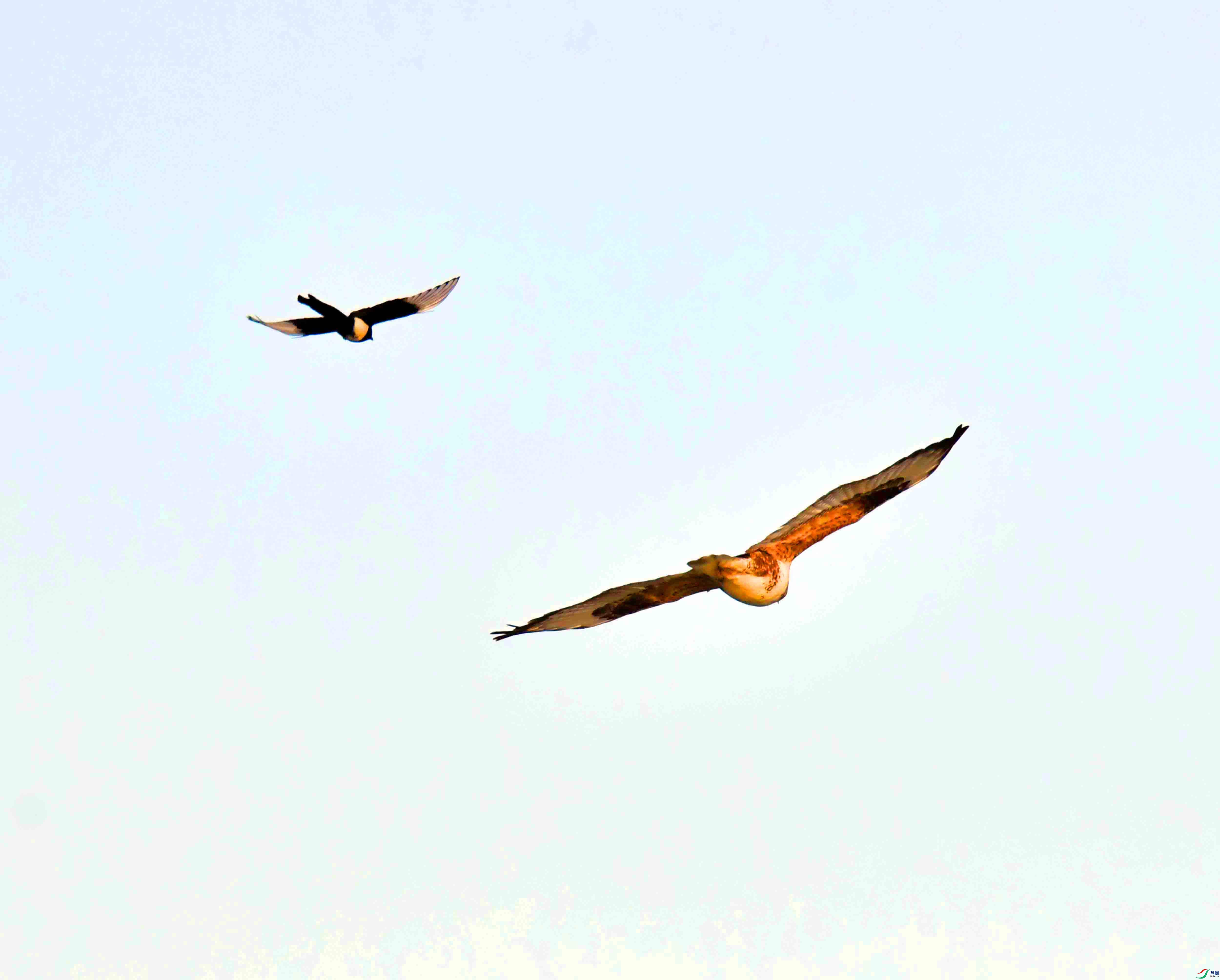DSC_2138.JPG