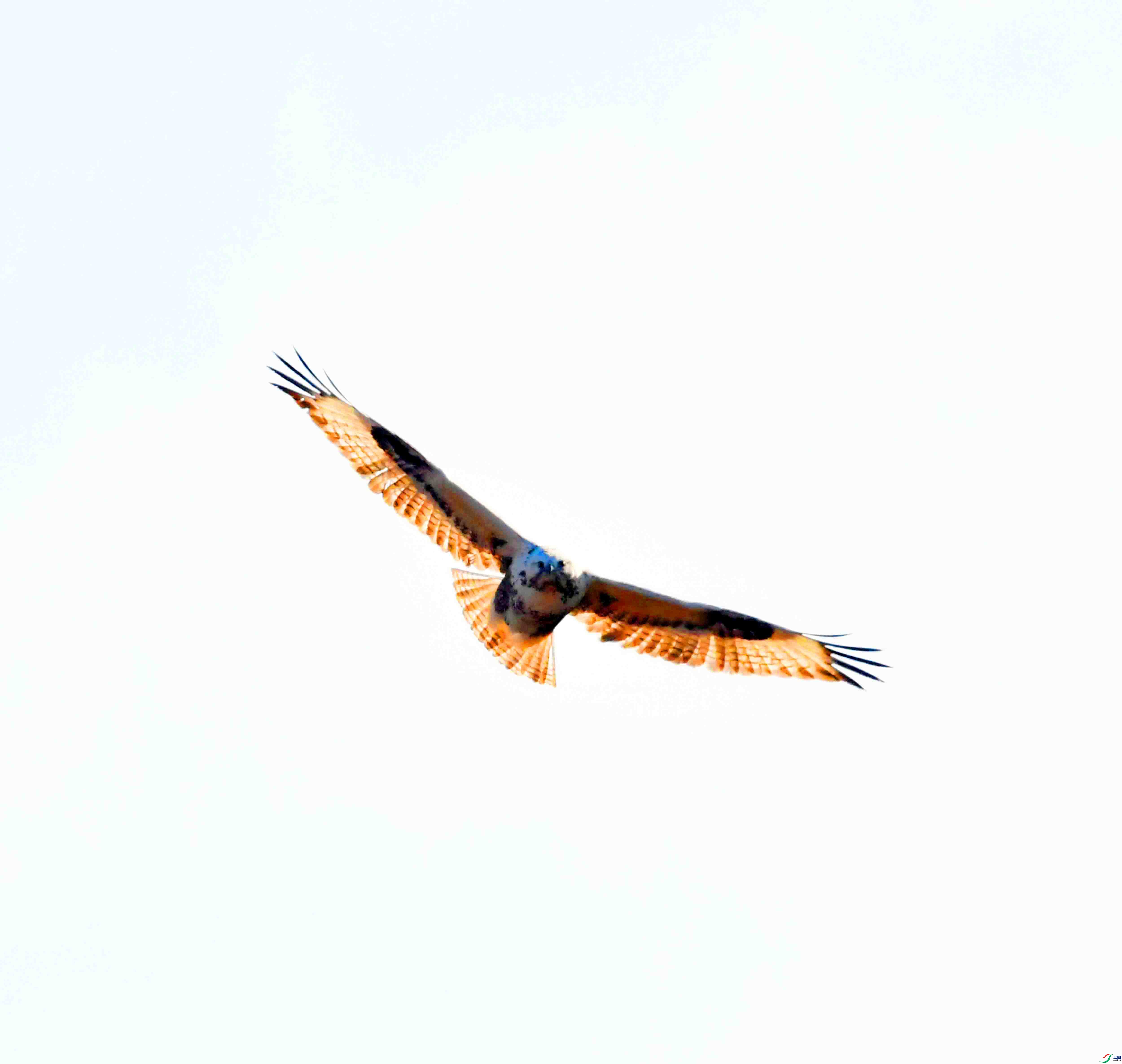DSC_2245.JPG