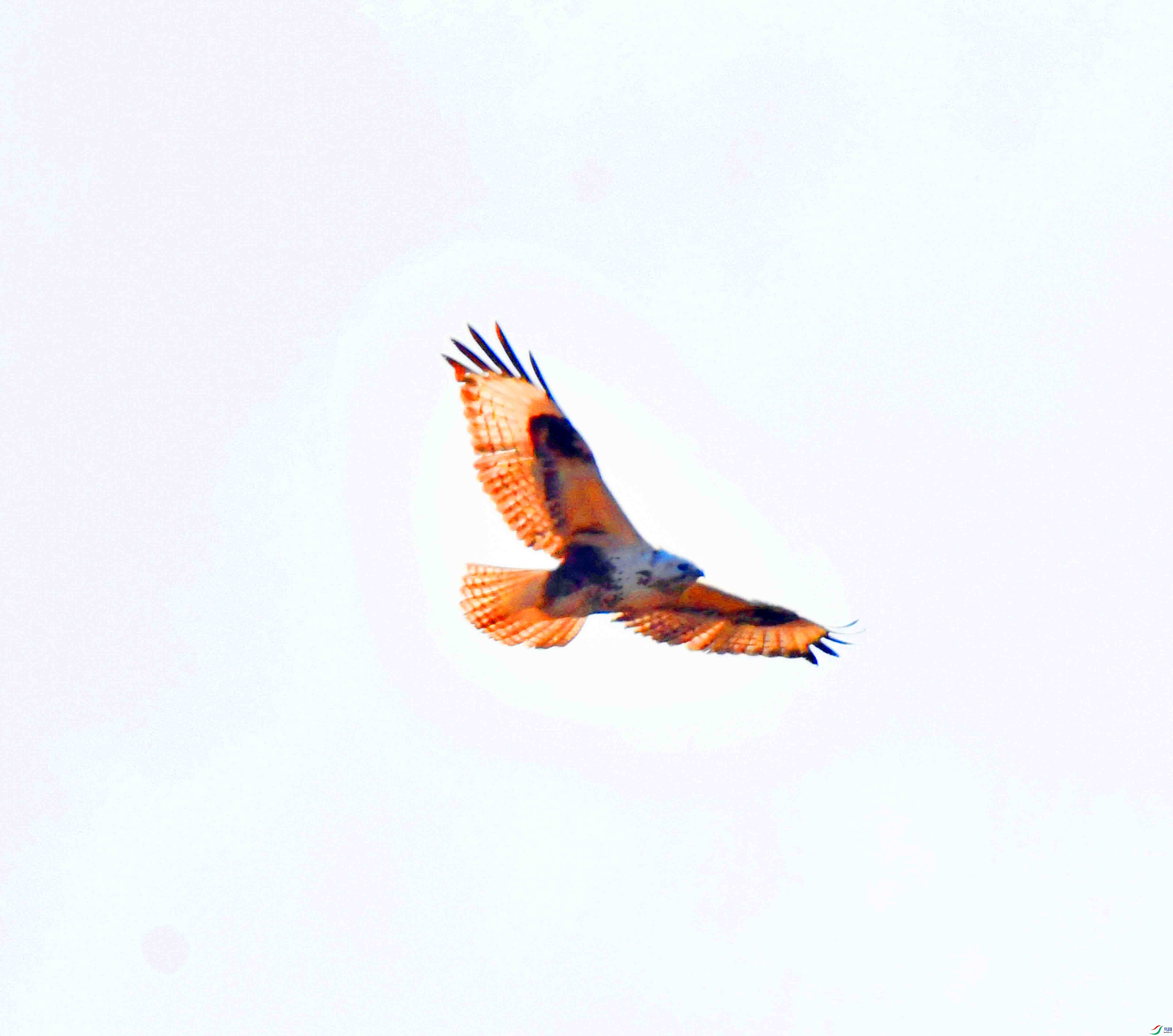 DSC_2251.JPG
