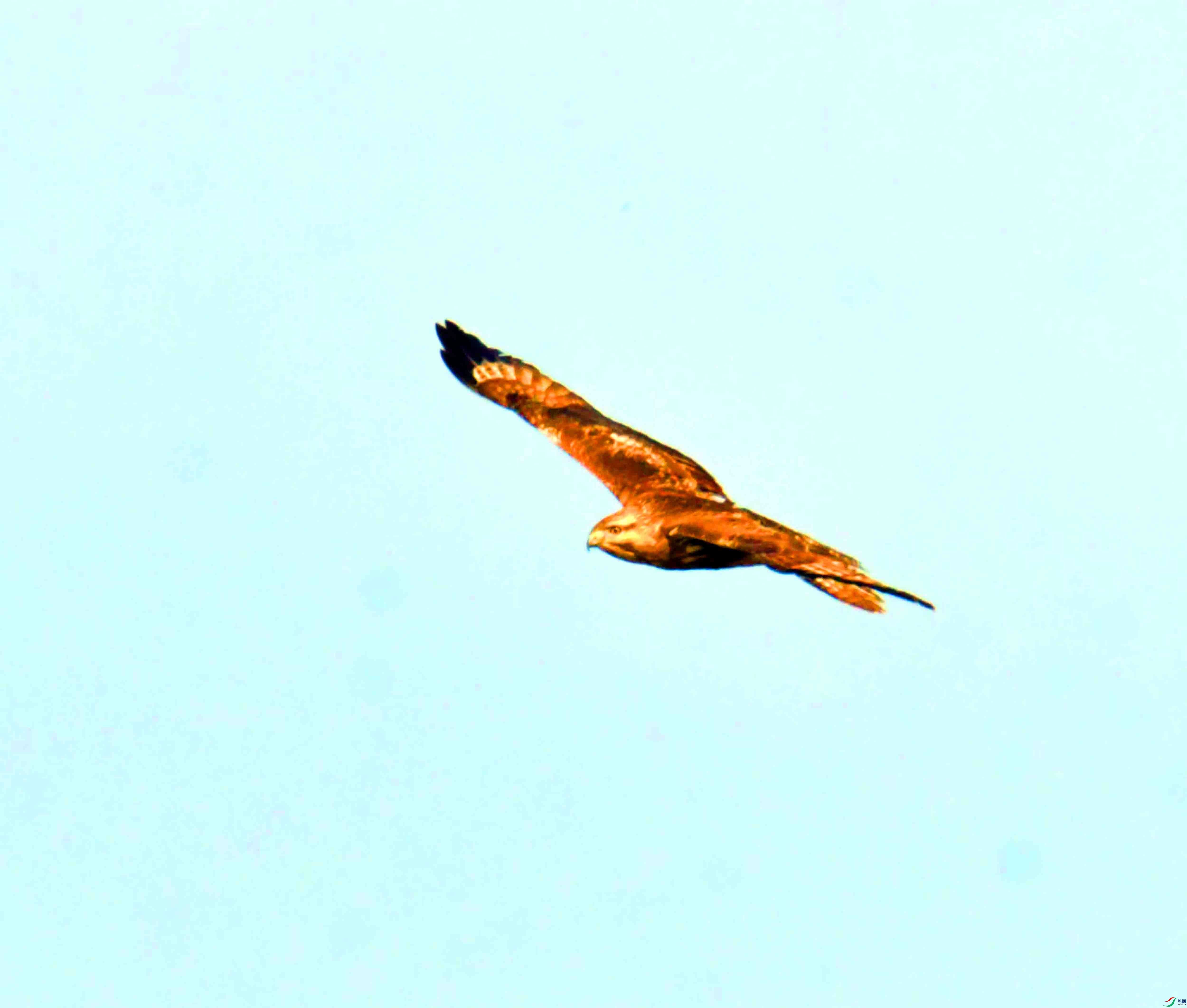 DSC_3752.JPG