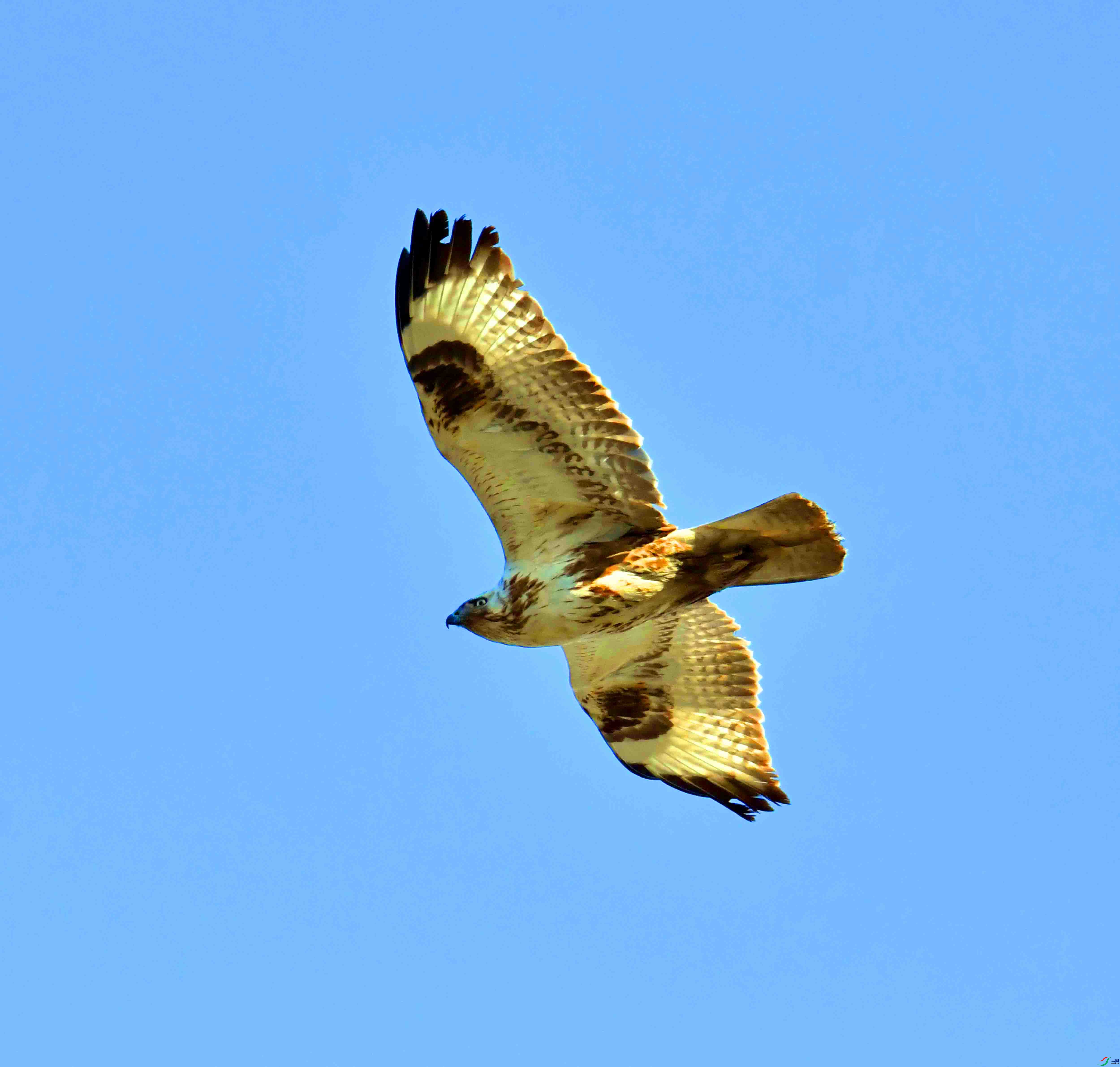 DSC_2509.JPG