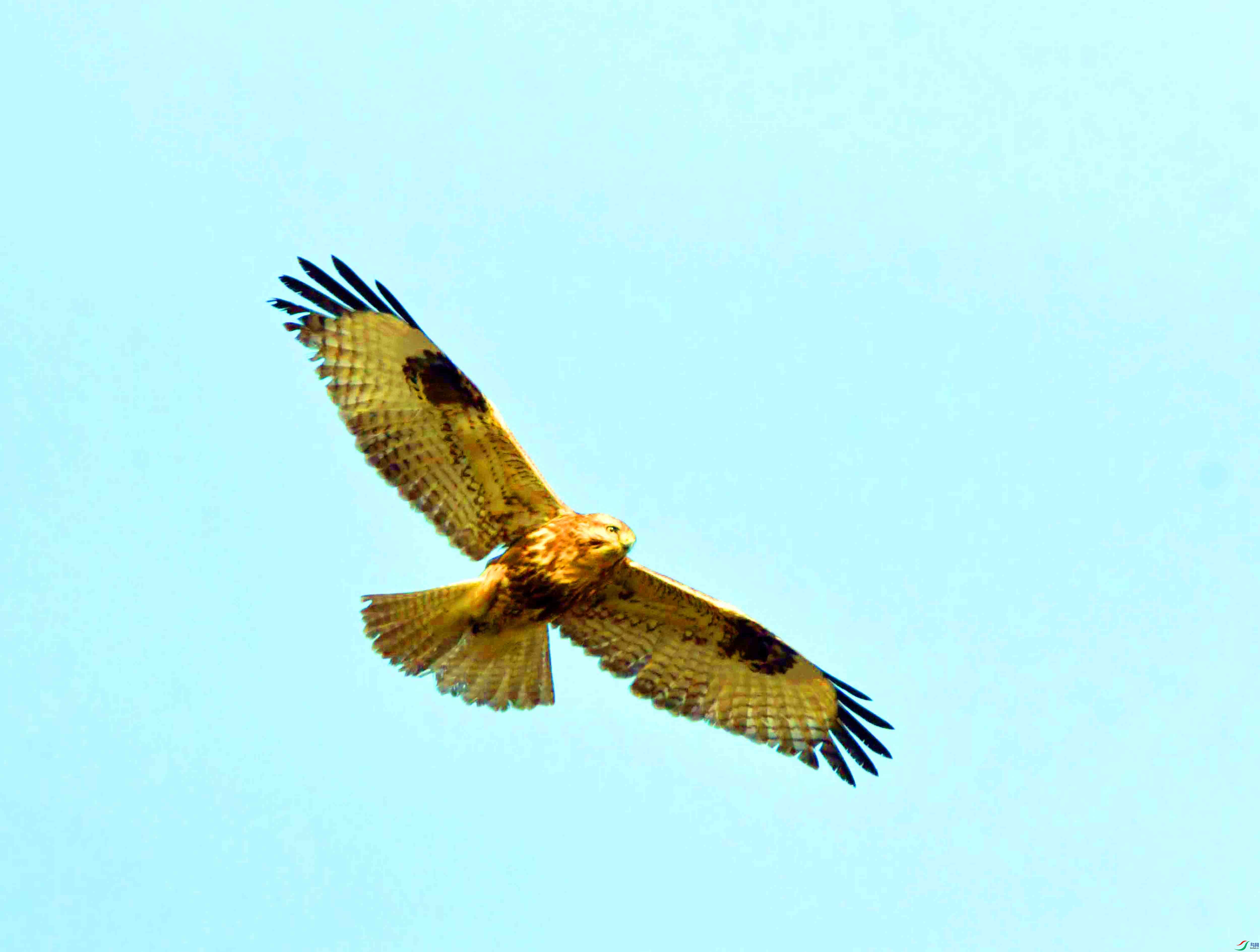 DSC_3772.JPG
