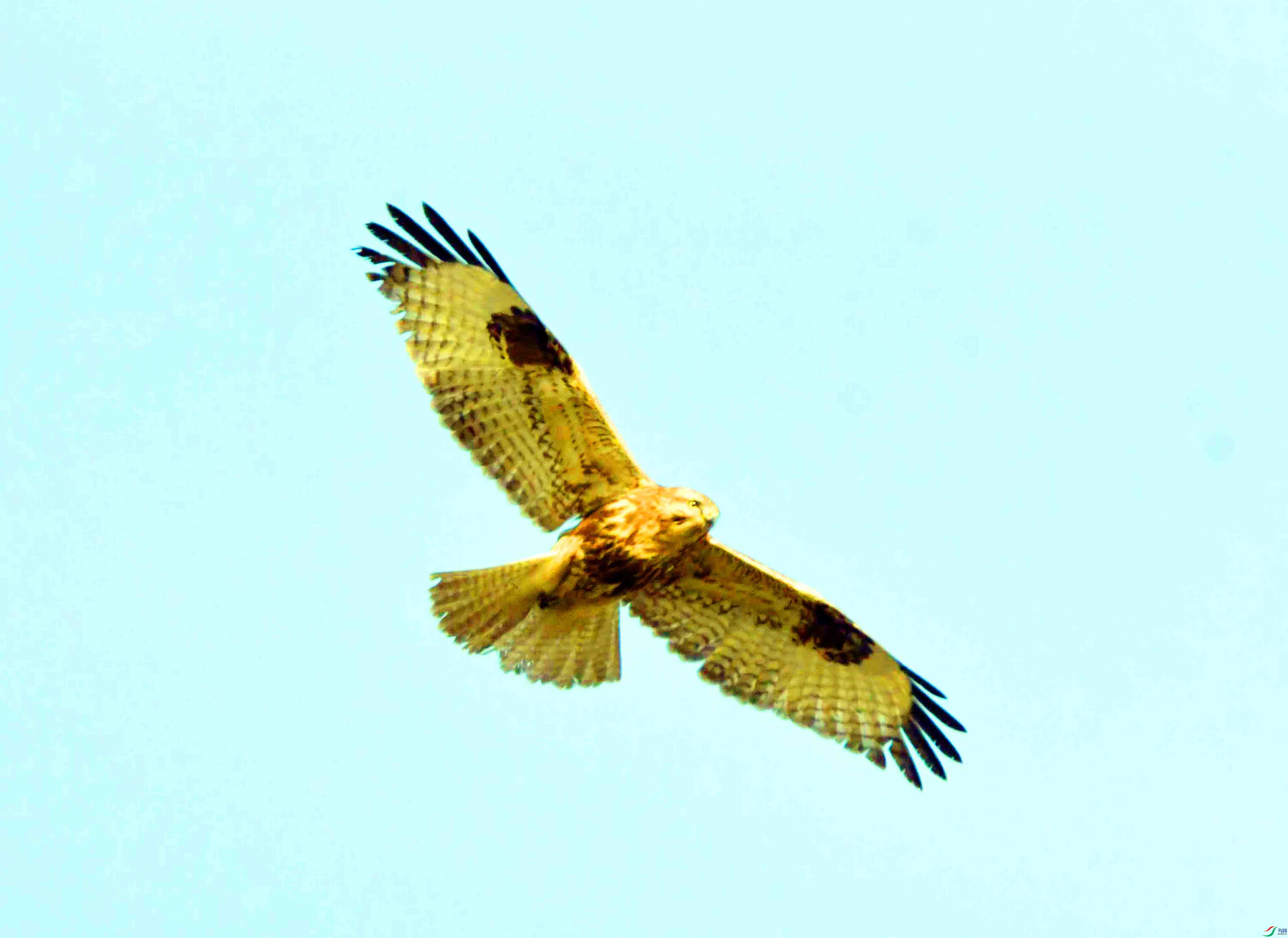 DSC_3773.JPG