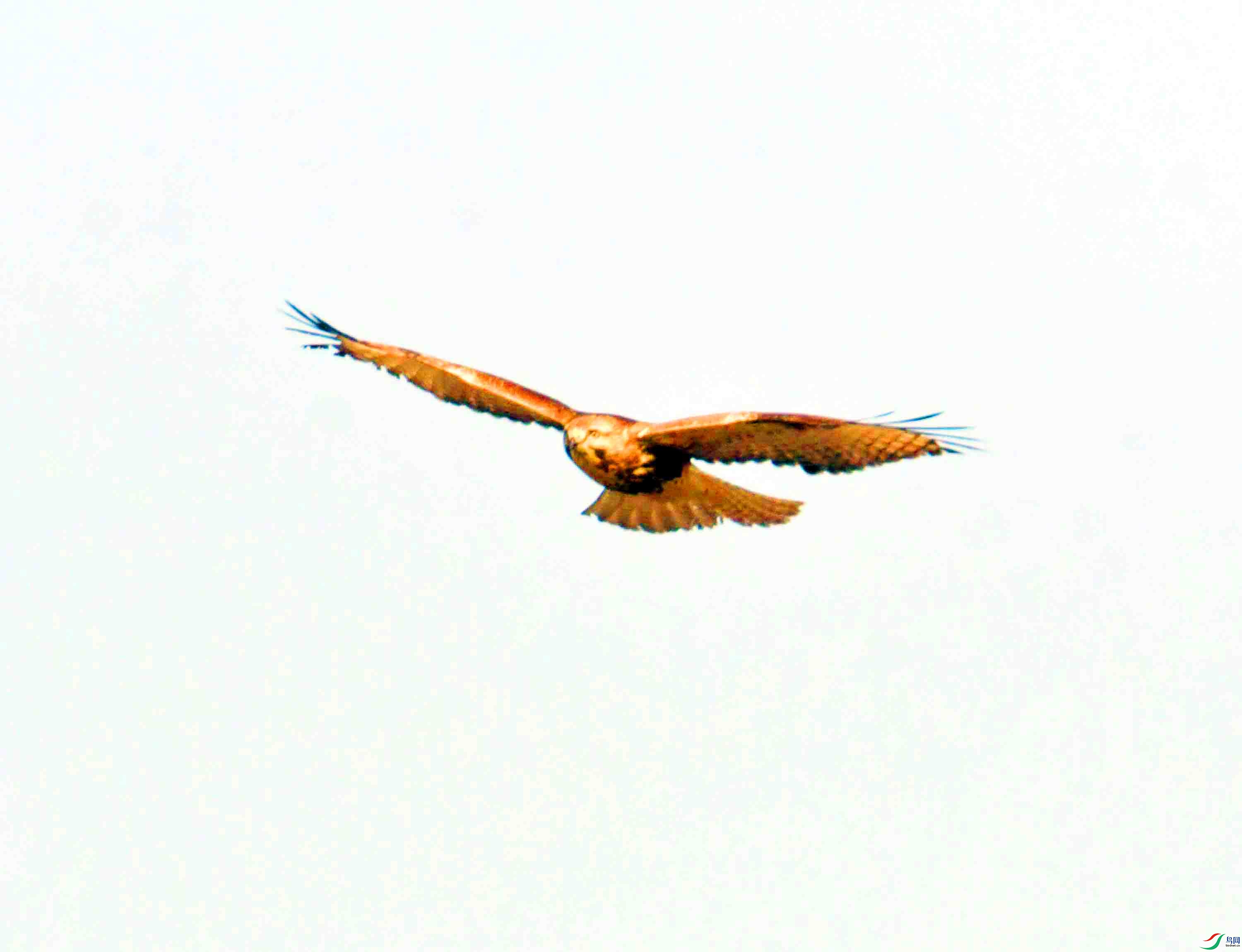 DSC_3760.JPG