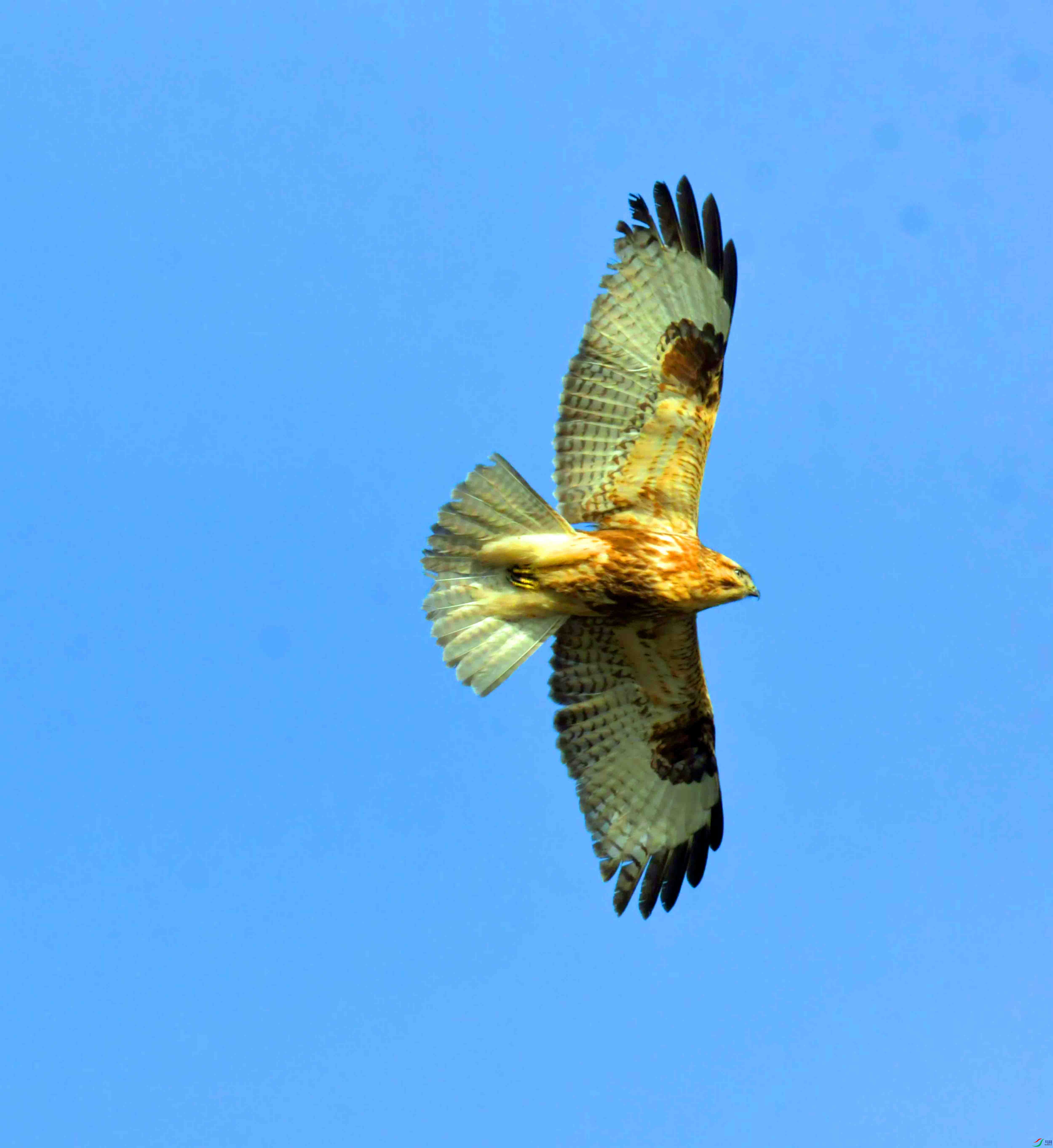 DSC_3774.JPG